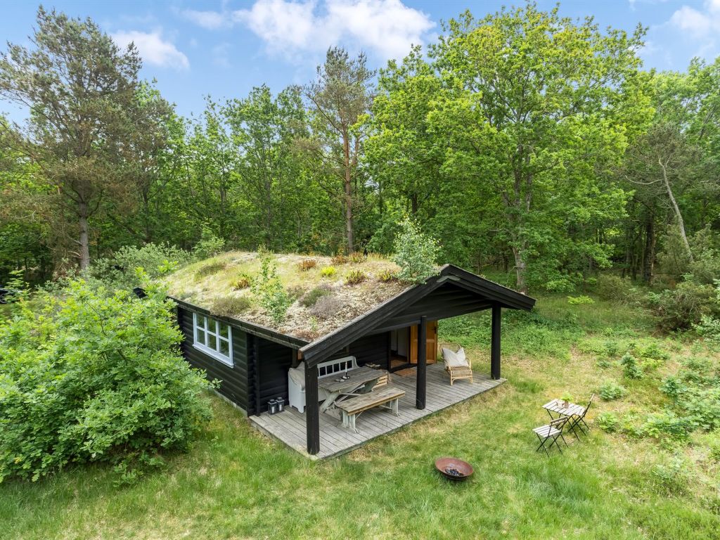 Vakantiehuis Juho in Denemarken