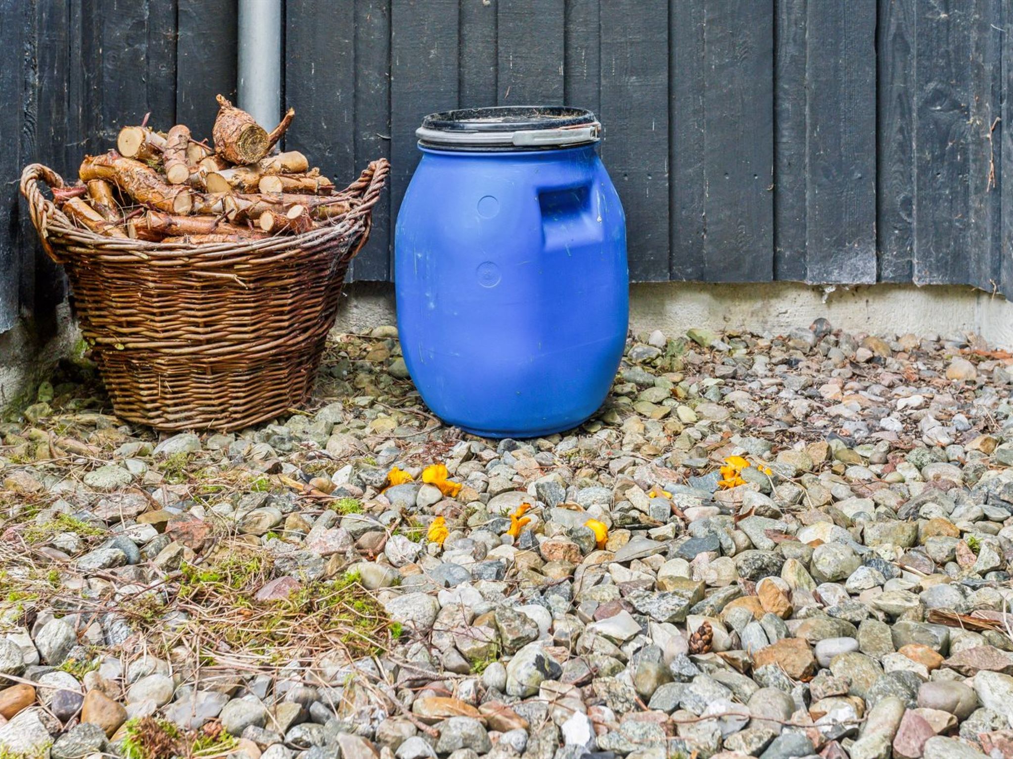 "Siegfried" - 400m from the sea-Binnen