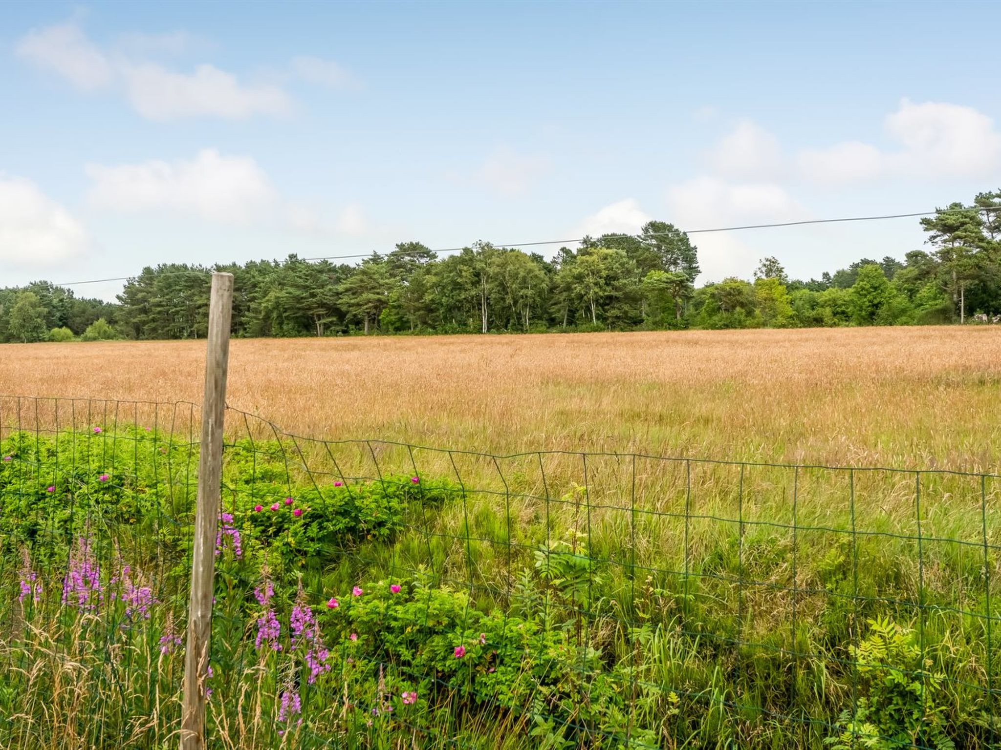 "Thine" - 800m from the sea - Buiten