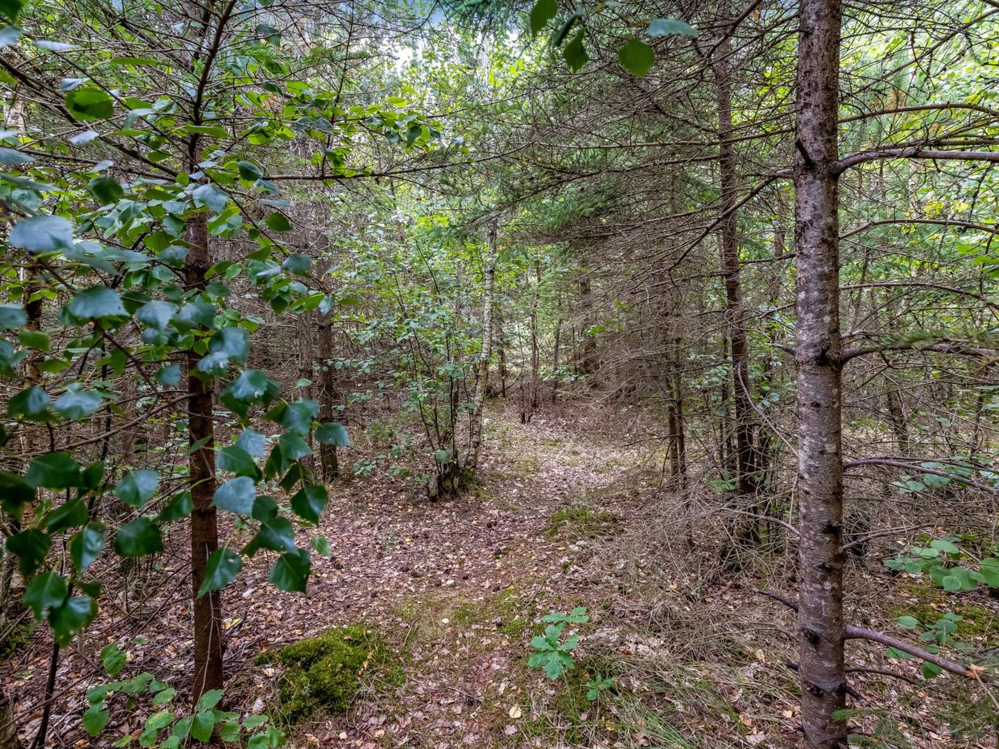 "Else" - 470m from the sea - Buiten