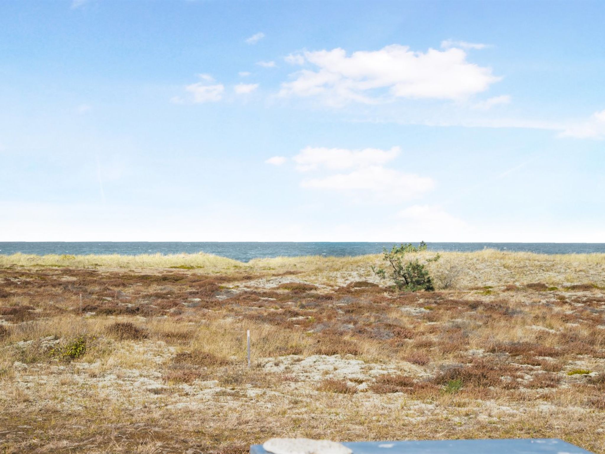 Photo of "Edy" - 75m from the sea