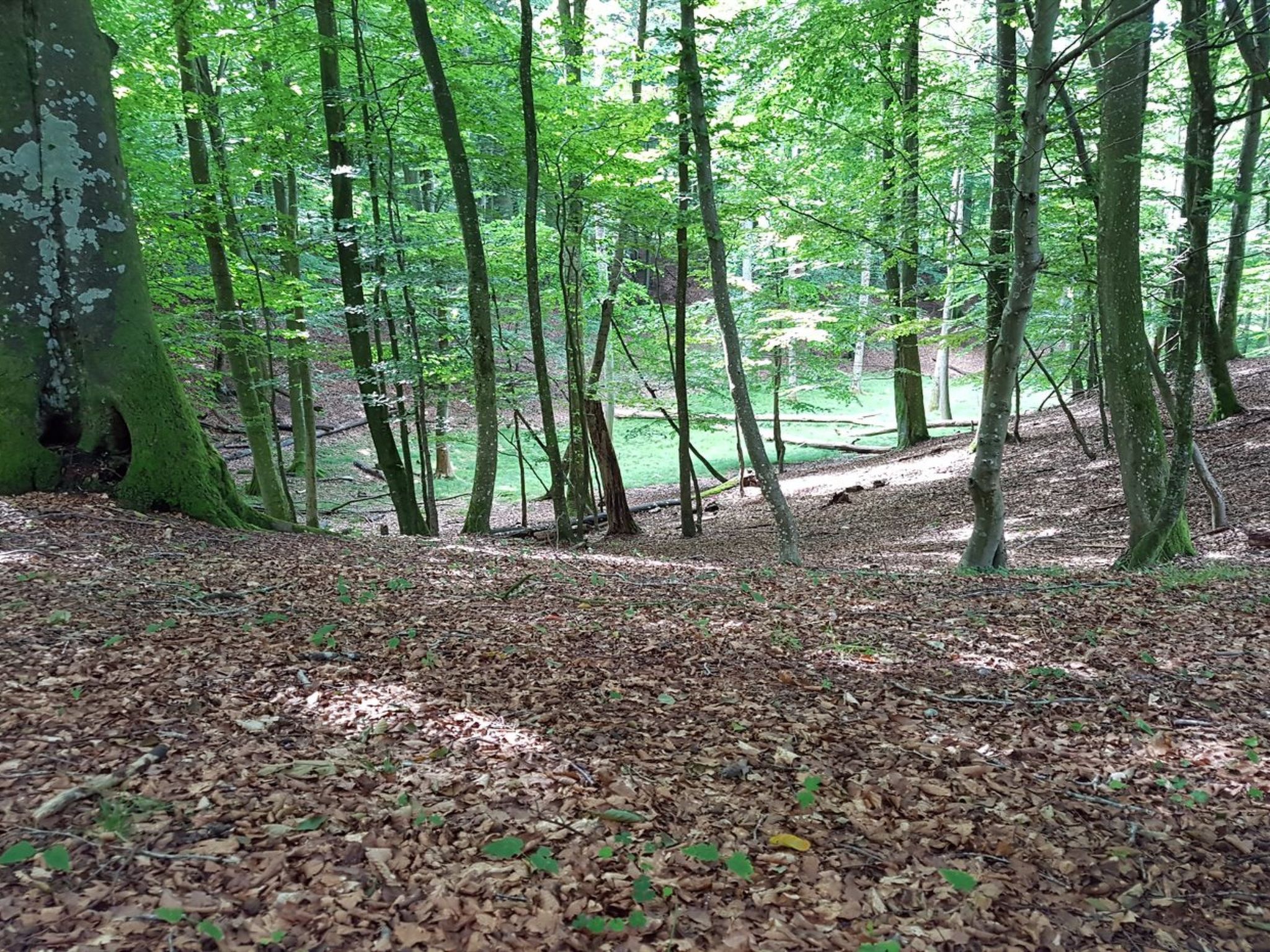 "Grep" - 800m from the sea - Buiten