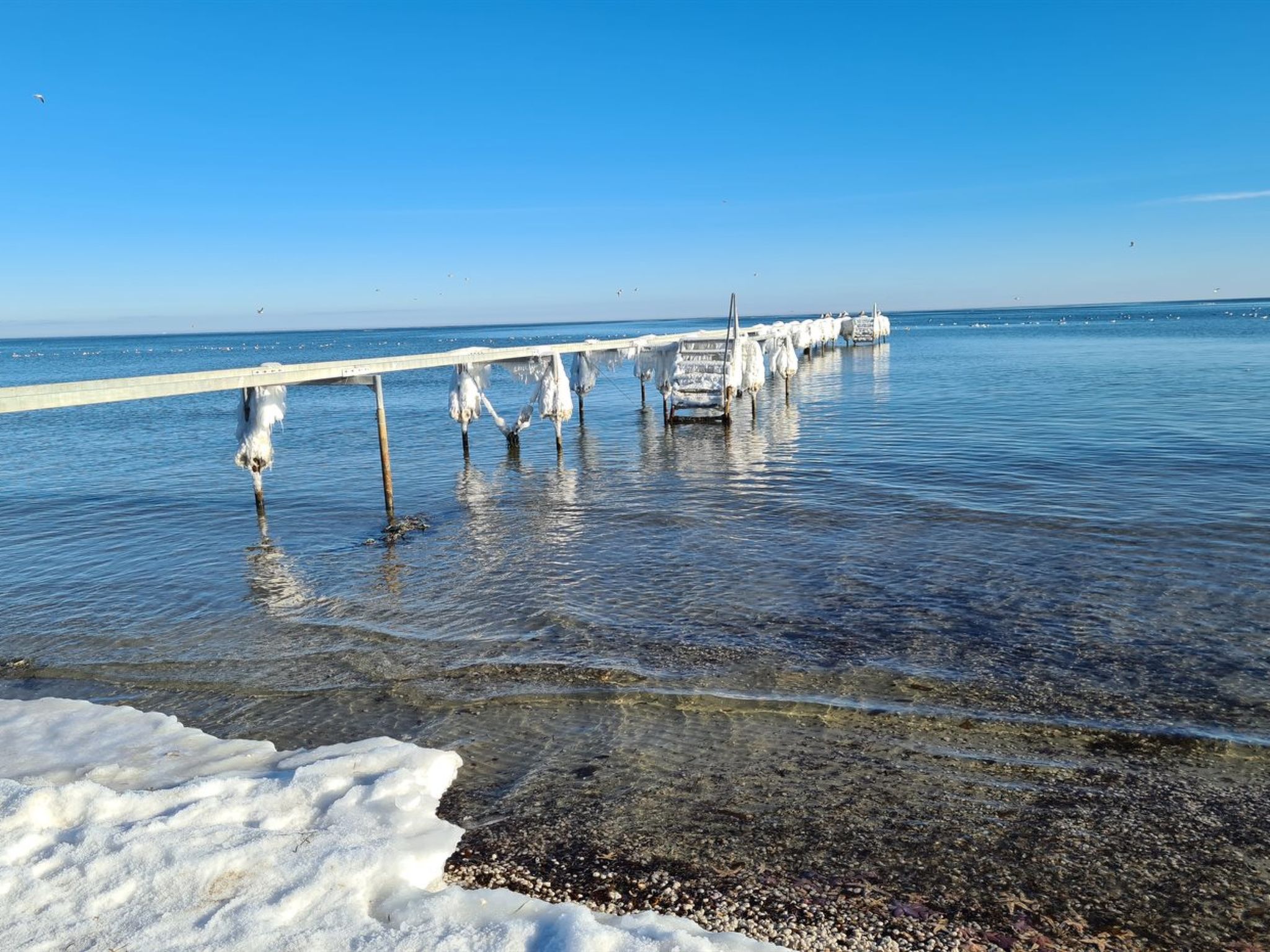 "Lidewij" - 800m from the sea-Draußen