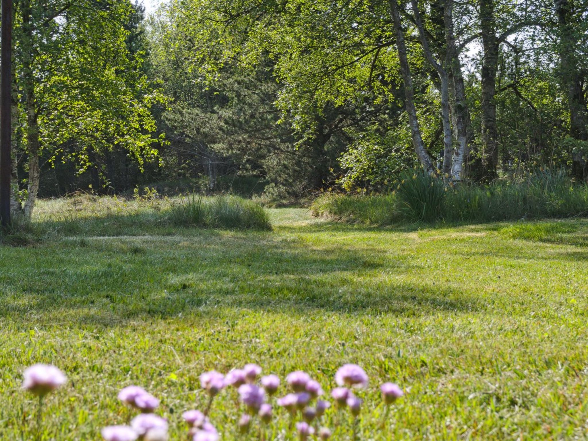 "Irlin" - 600m from the sea - Buiten