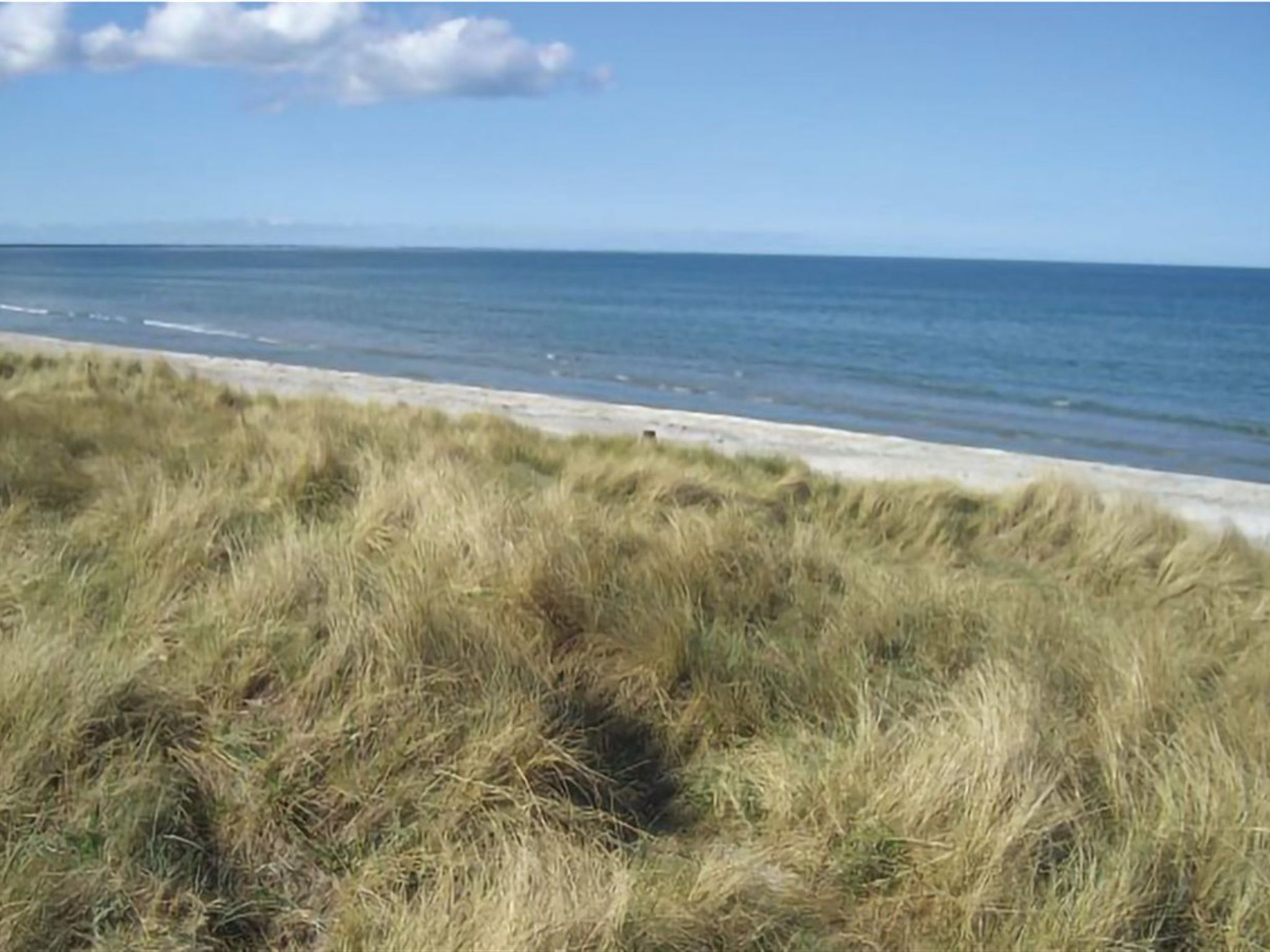 "Frithbjorn" - 900m from the sea - Buiten