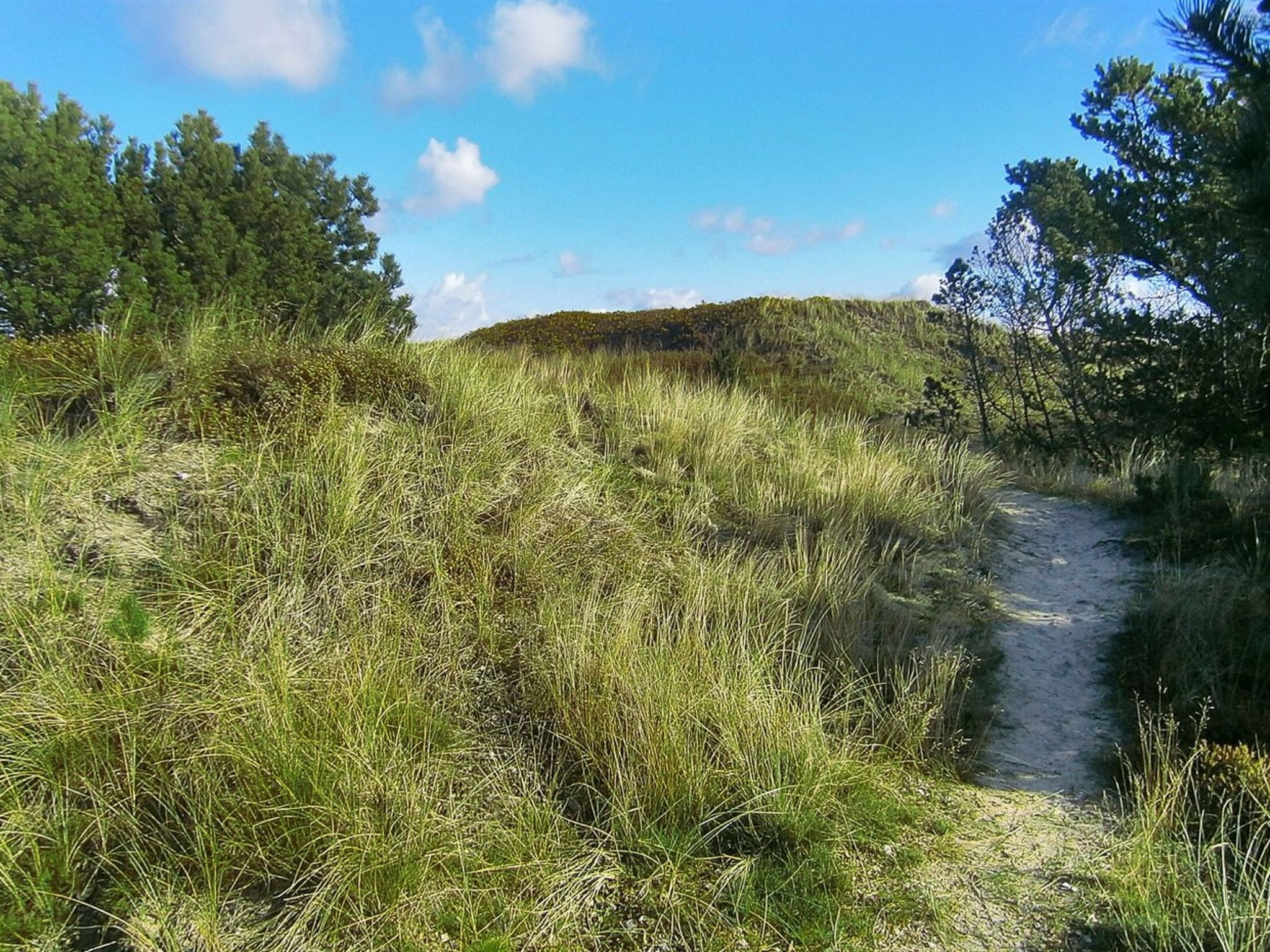 "Lewe" - 150m from the sea - Buiten