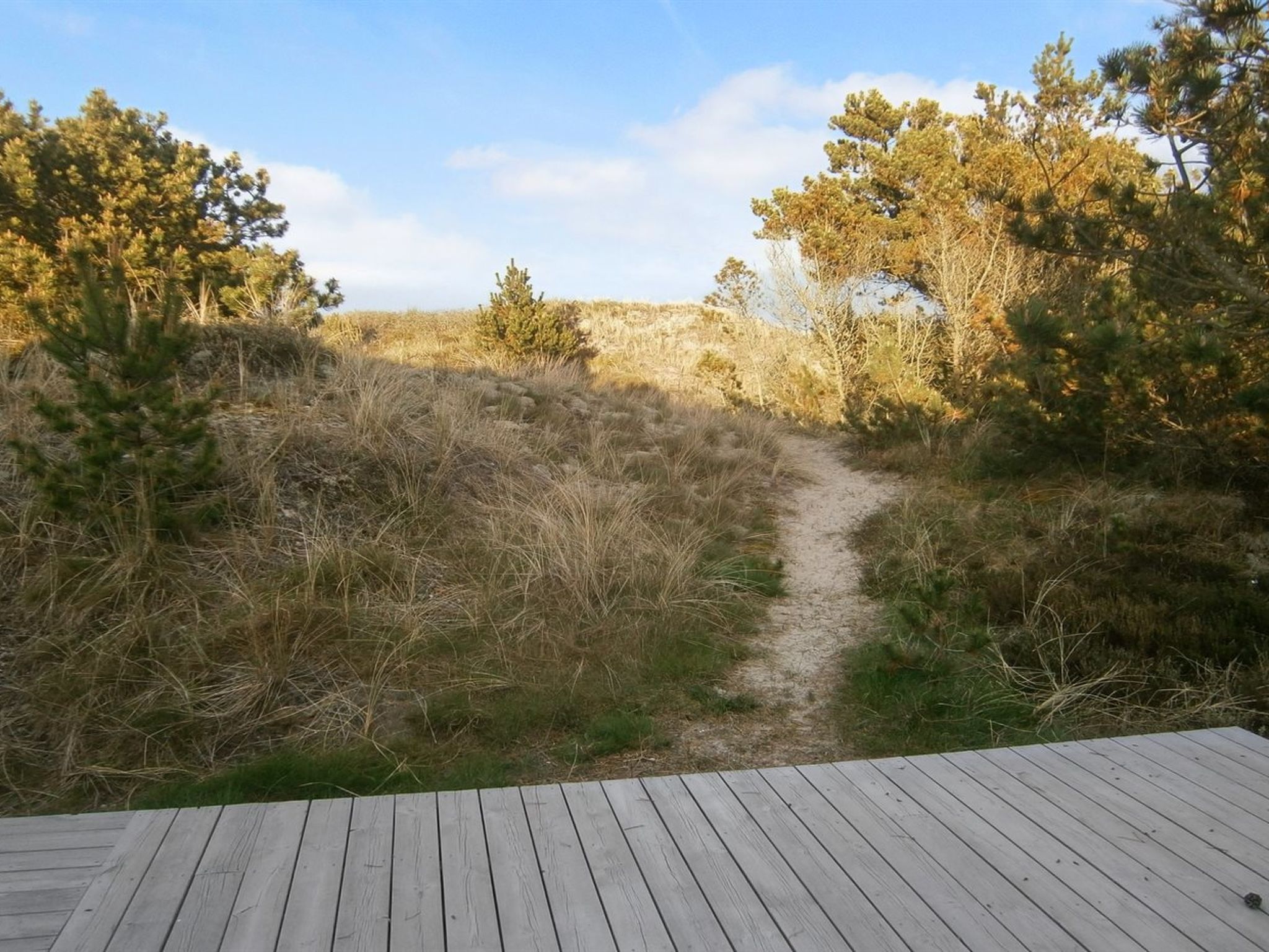 "Lewe" - 150m from the sea - Buiten