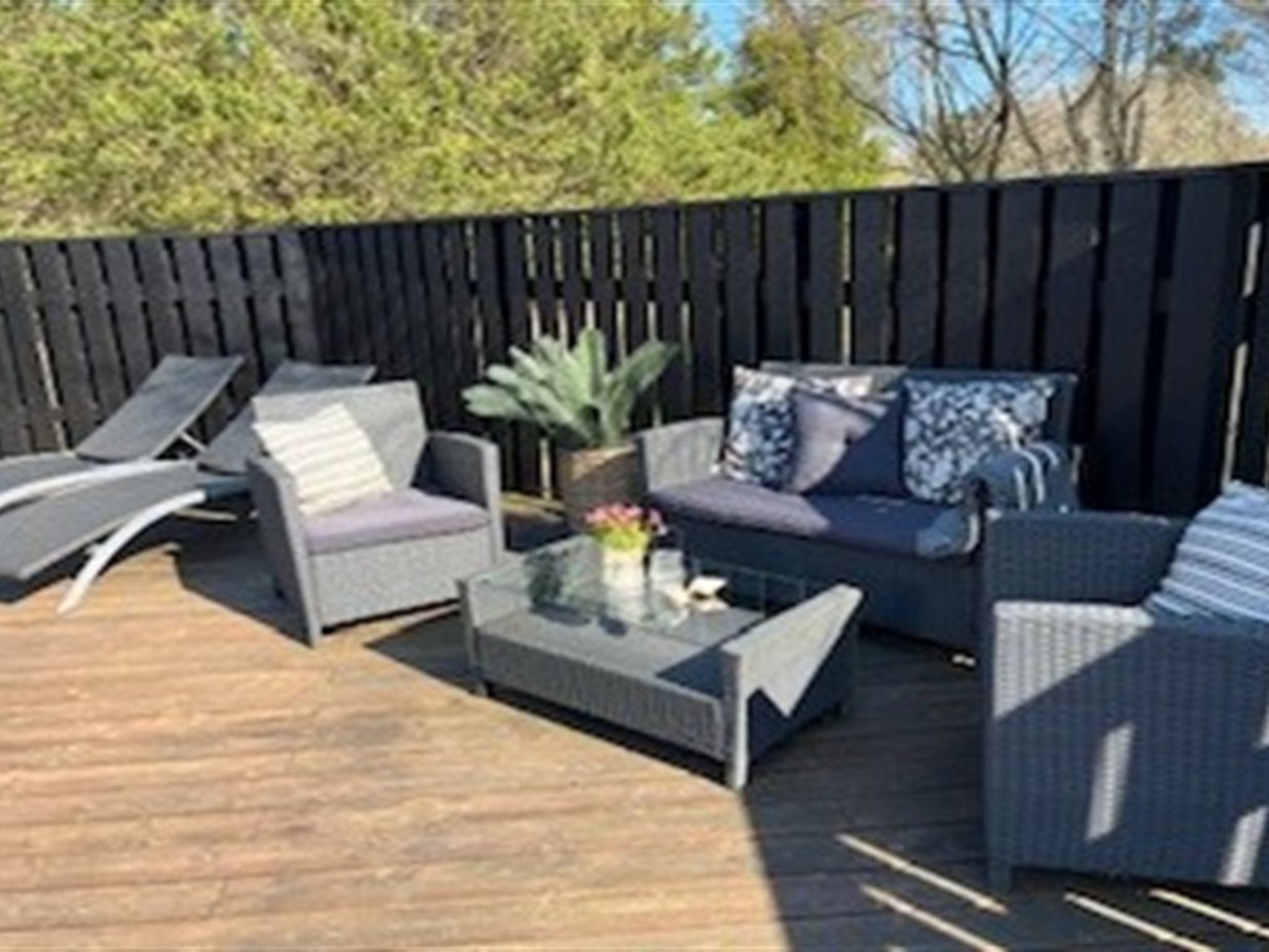 Photo of "Elvin" - 2km from the sea