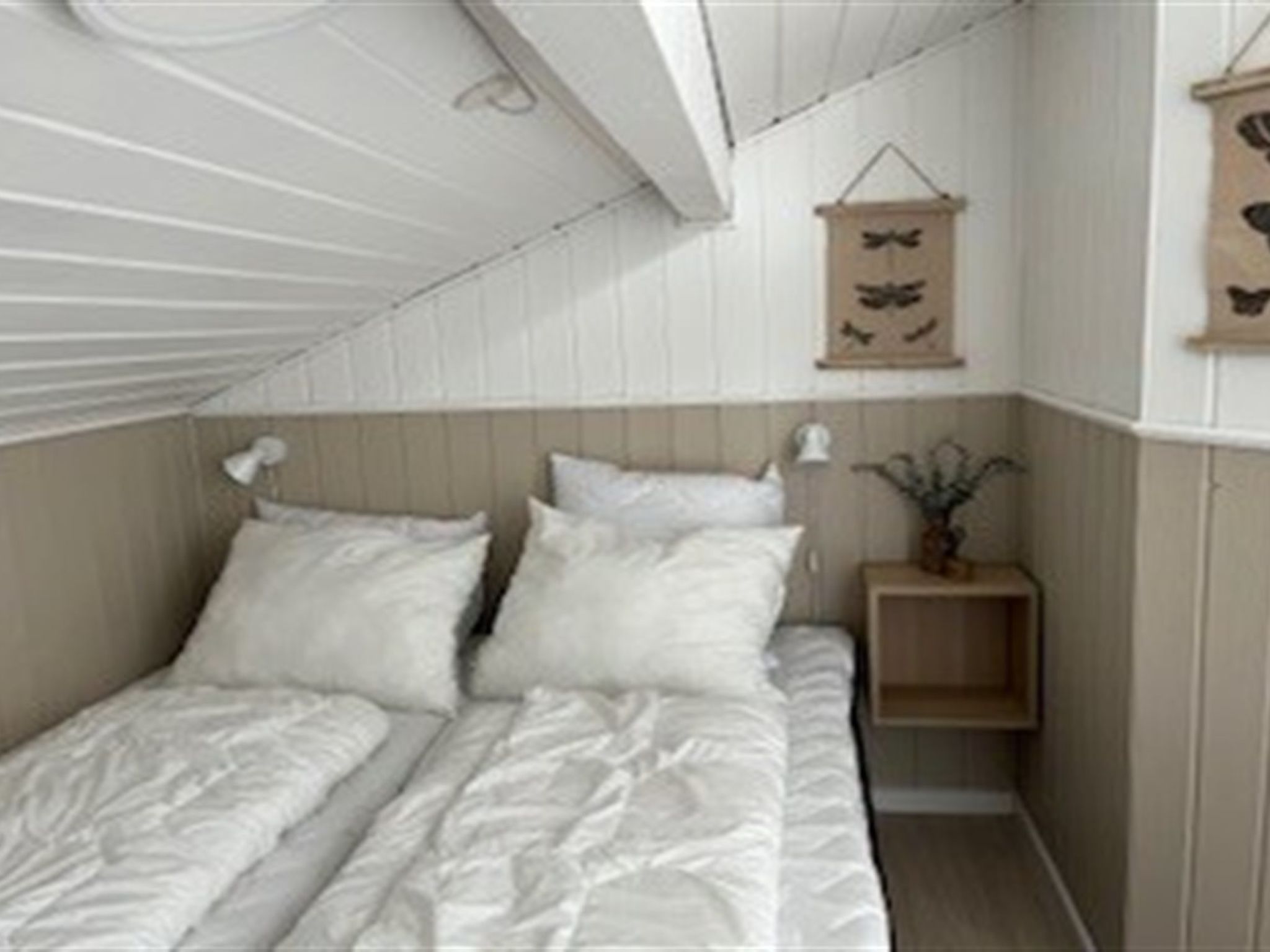 Photo of "Elvin" - 2km from the sea