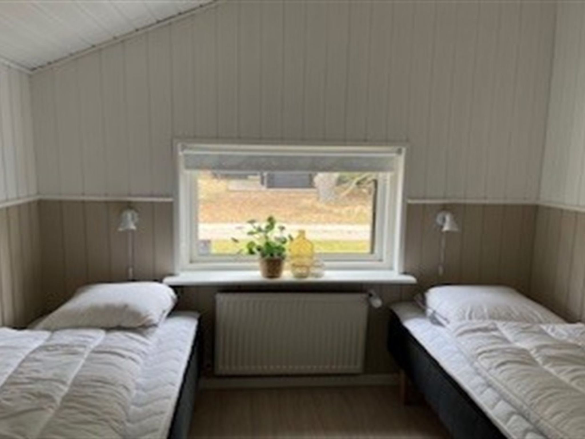 Photo of "Elvin" - 2km from the sea