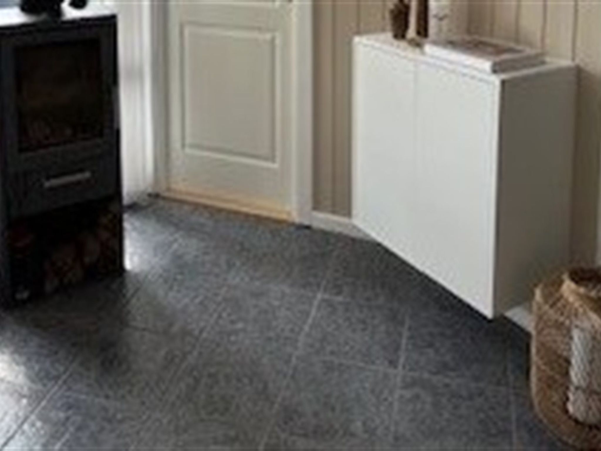 Photo of "Elvin" - 2km from the sea