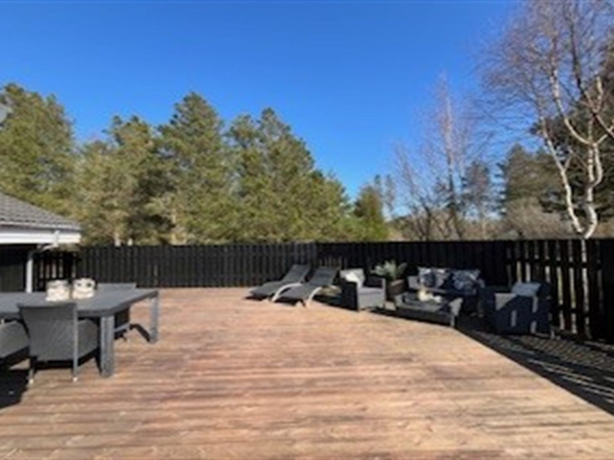 Photo of "Elvin" - 2km from the sea