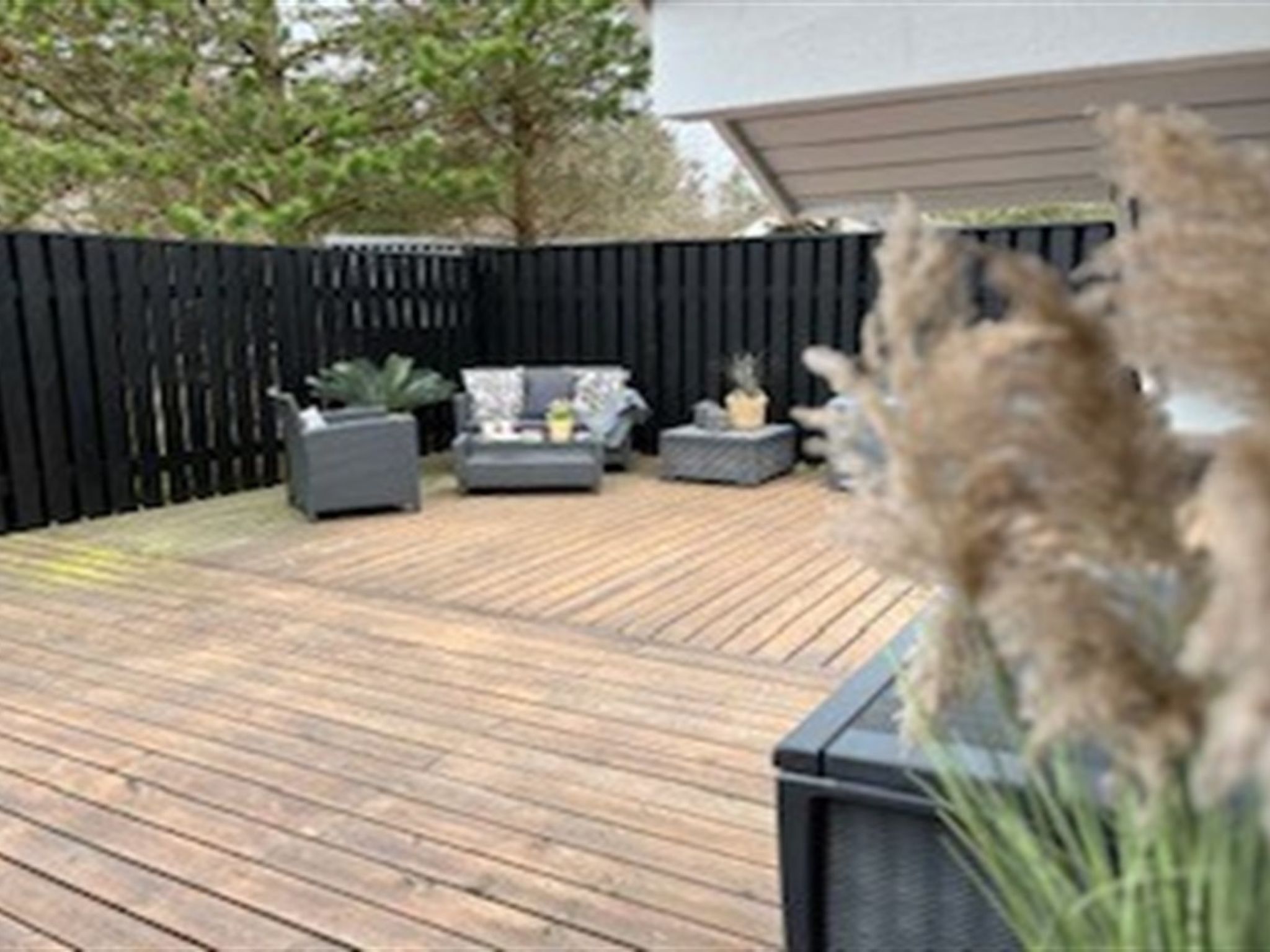 Photo of "Elvin" - 2km from the sea