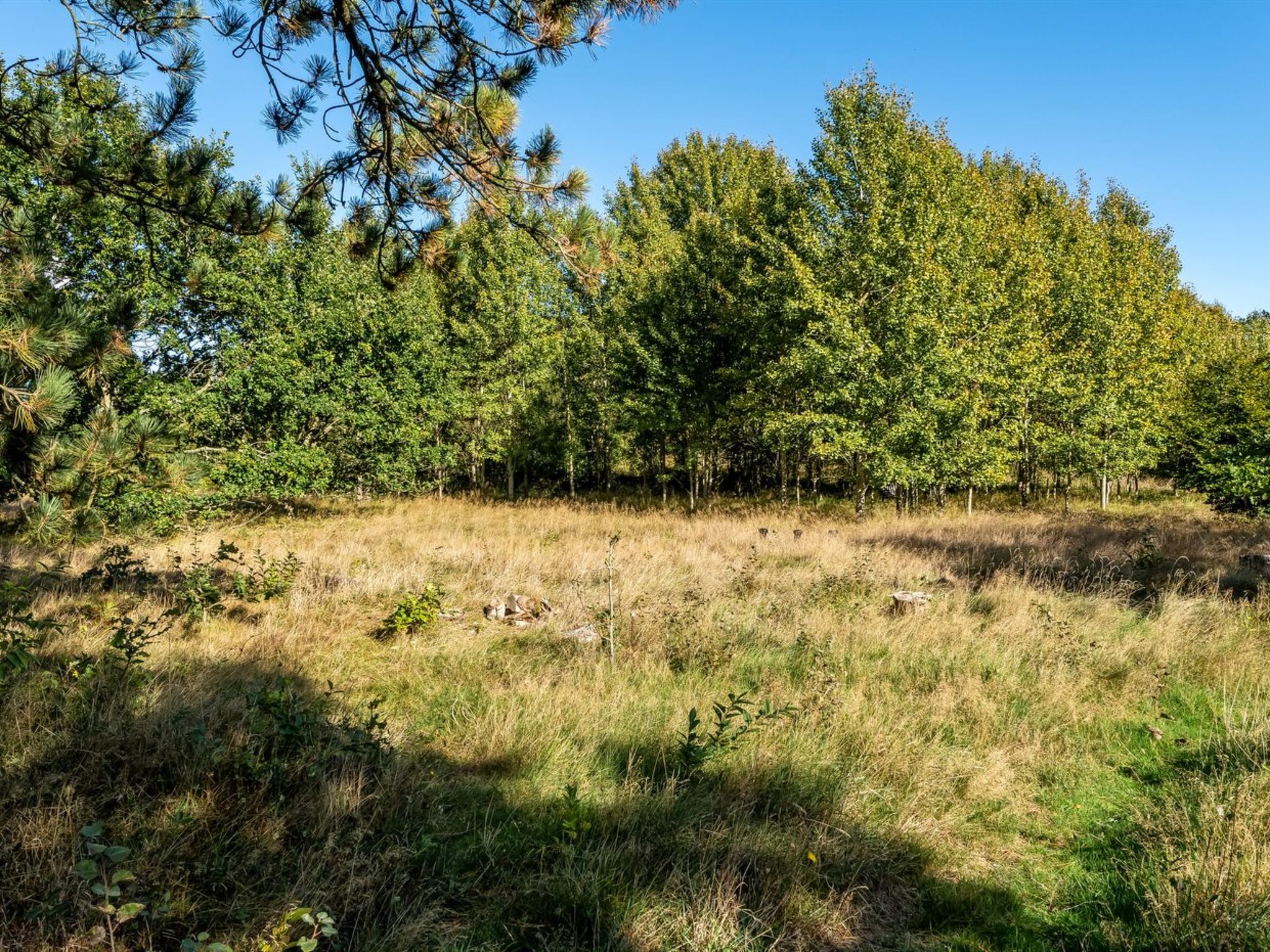"Sigref" - 4km from the sea - Buiten