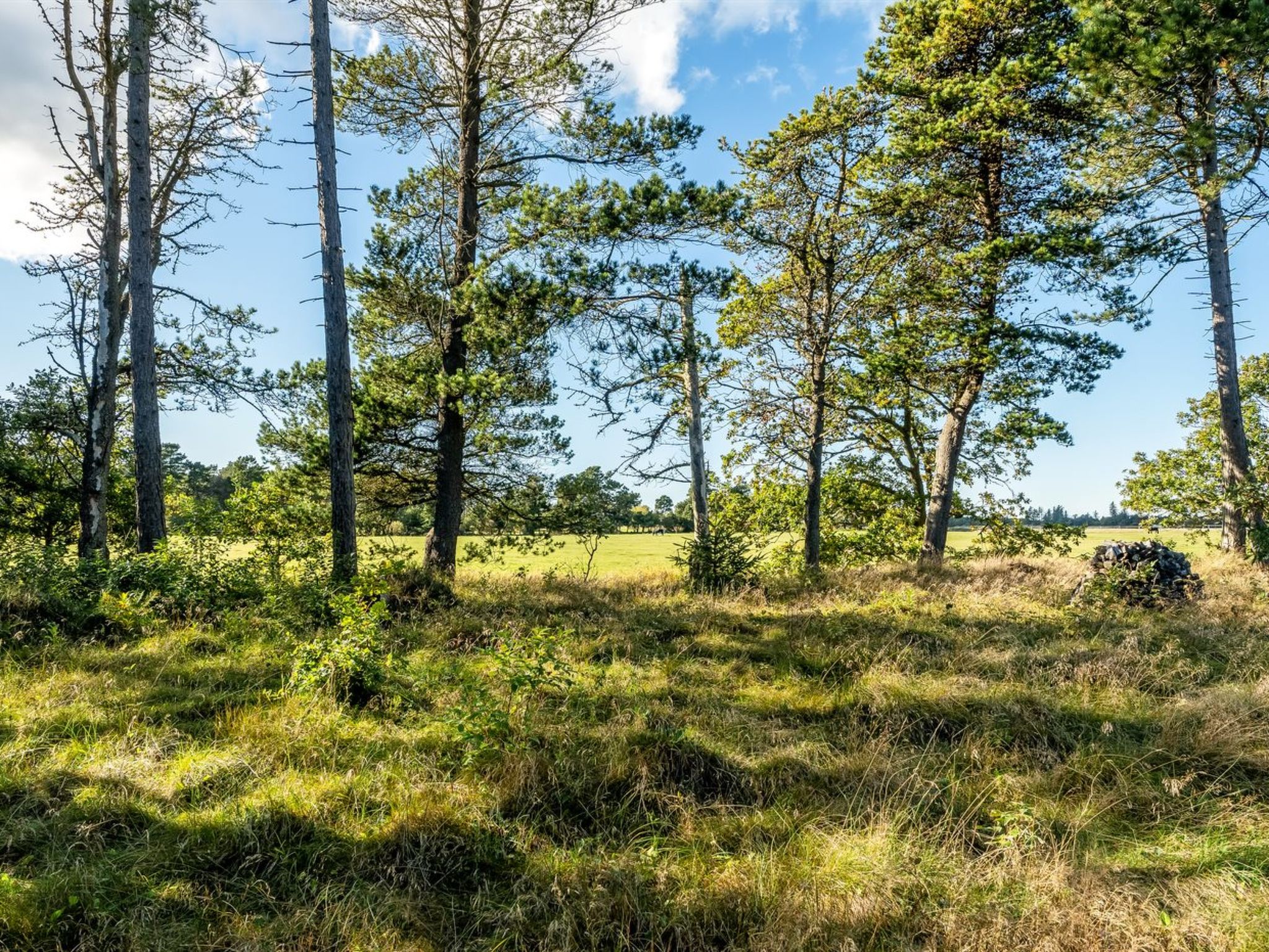 "Sigref" - 4km from the sea - Buiten