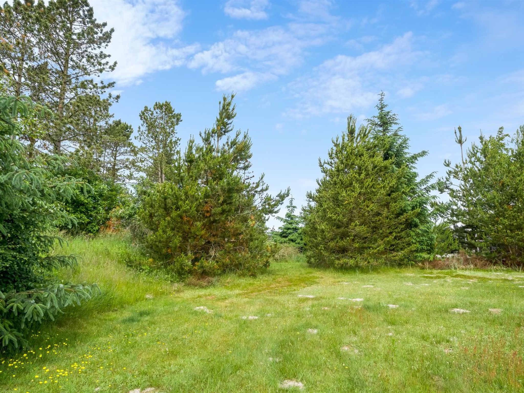 "Thiokk" - 1.5km from the sea - Draußen