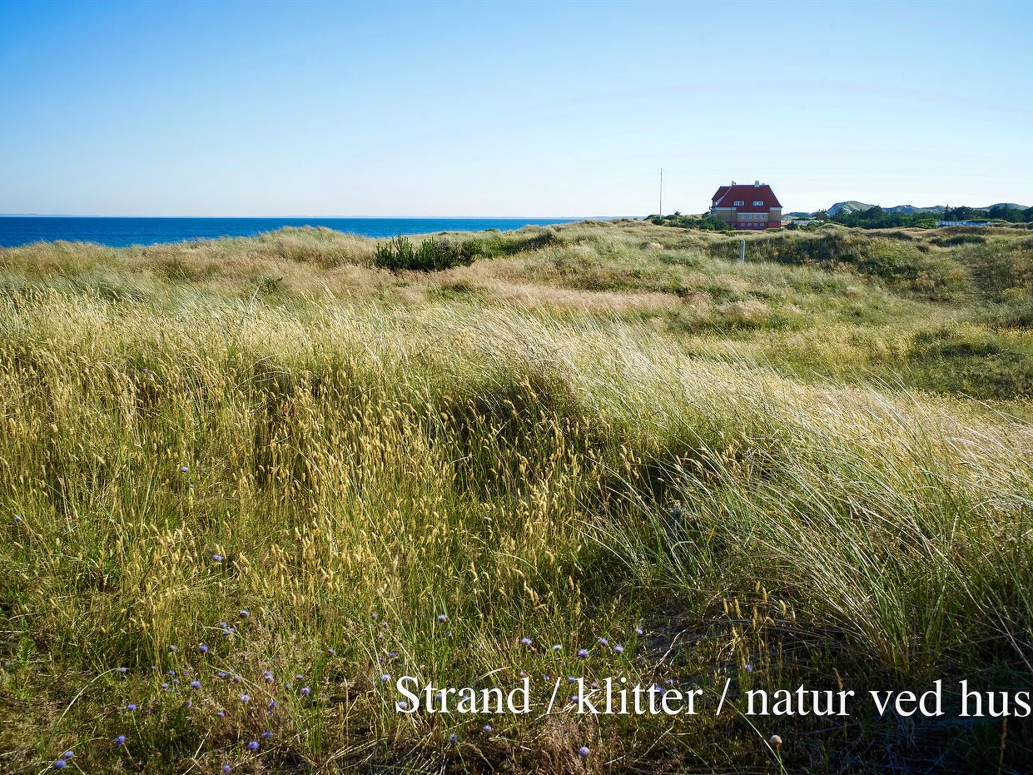 "Elle" - 50m from the sea - Buiten