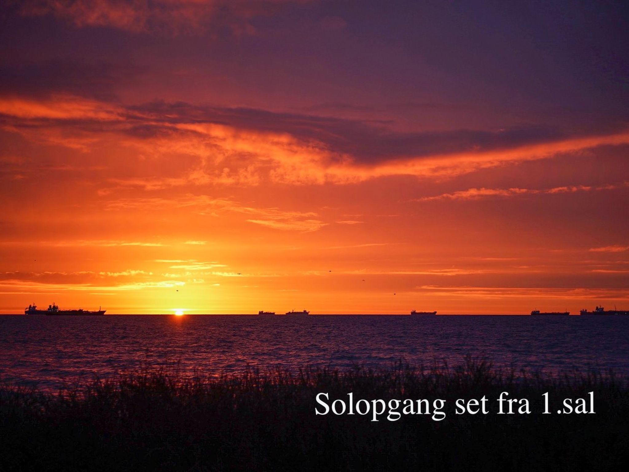 "Ingwald" - 50m from the sea - Buiten