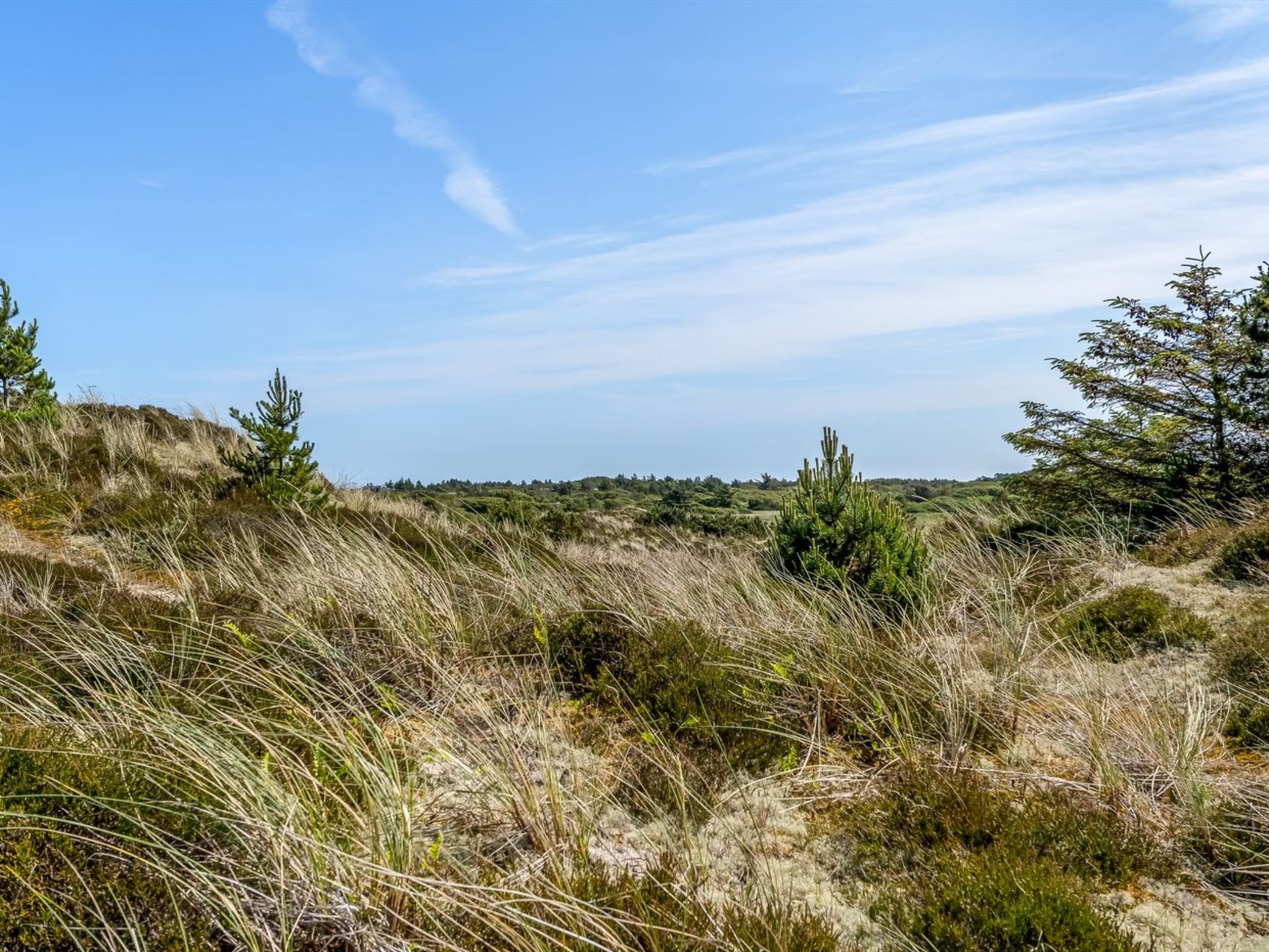 Maison "Thorkil" - 800m from the sea – Vue, photo 25 sur 29