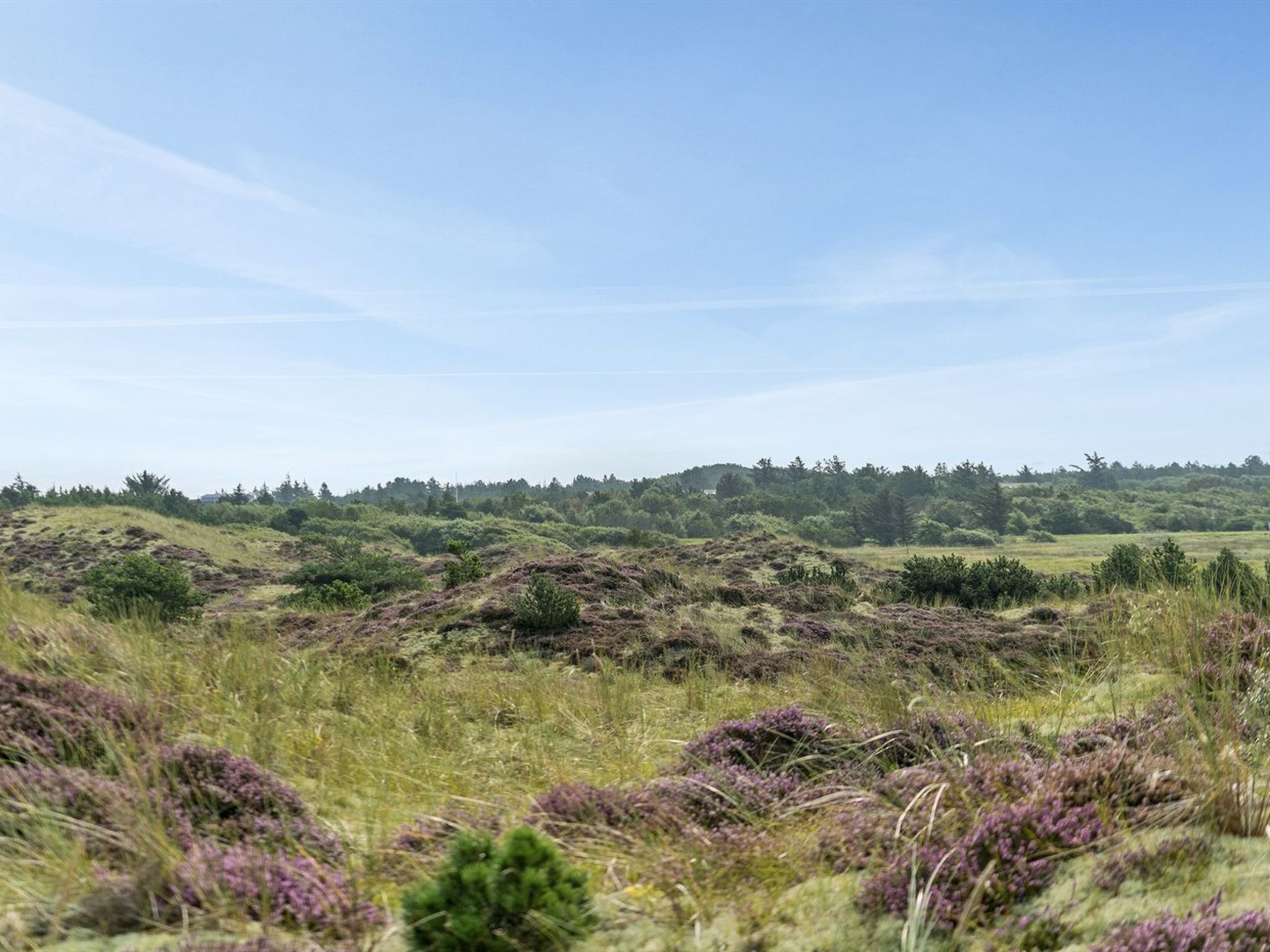 "Thorkil" - 800m from the sea