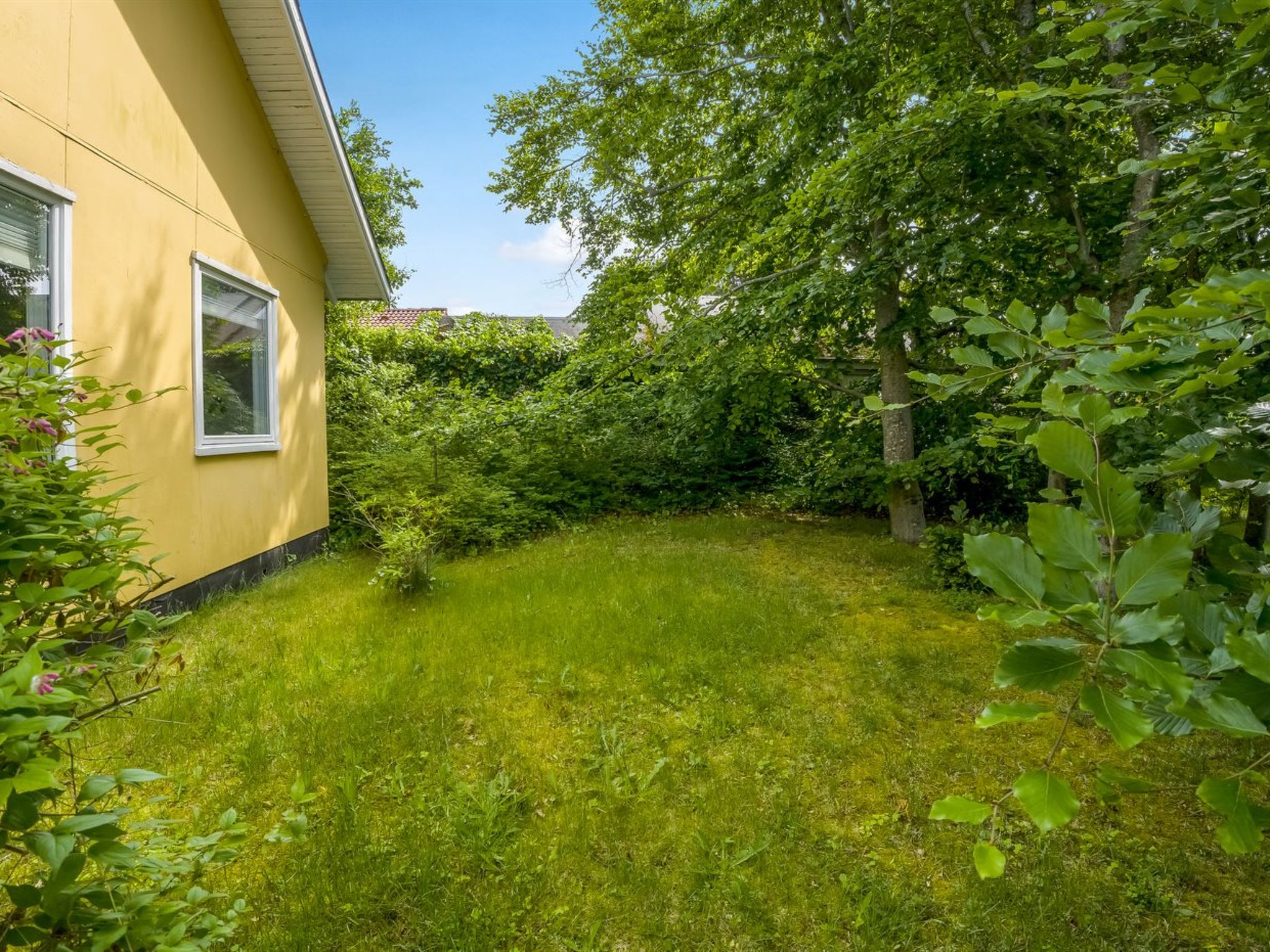 "Fedder" - 700m from the sea - Draußen