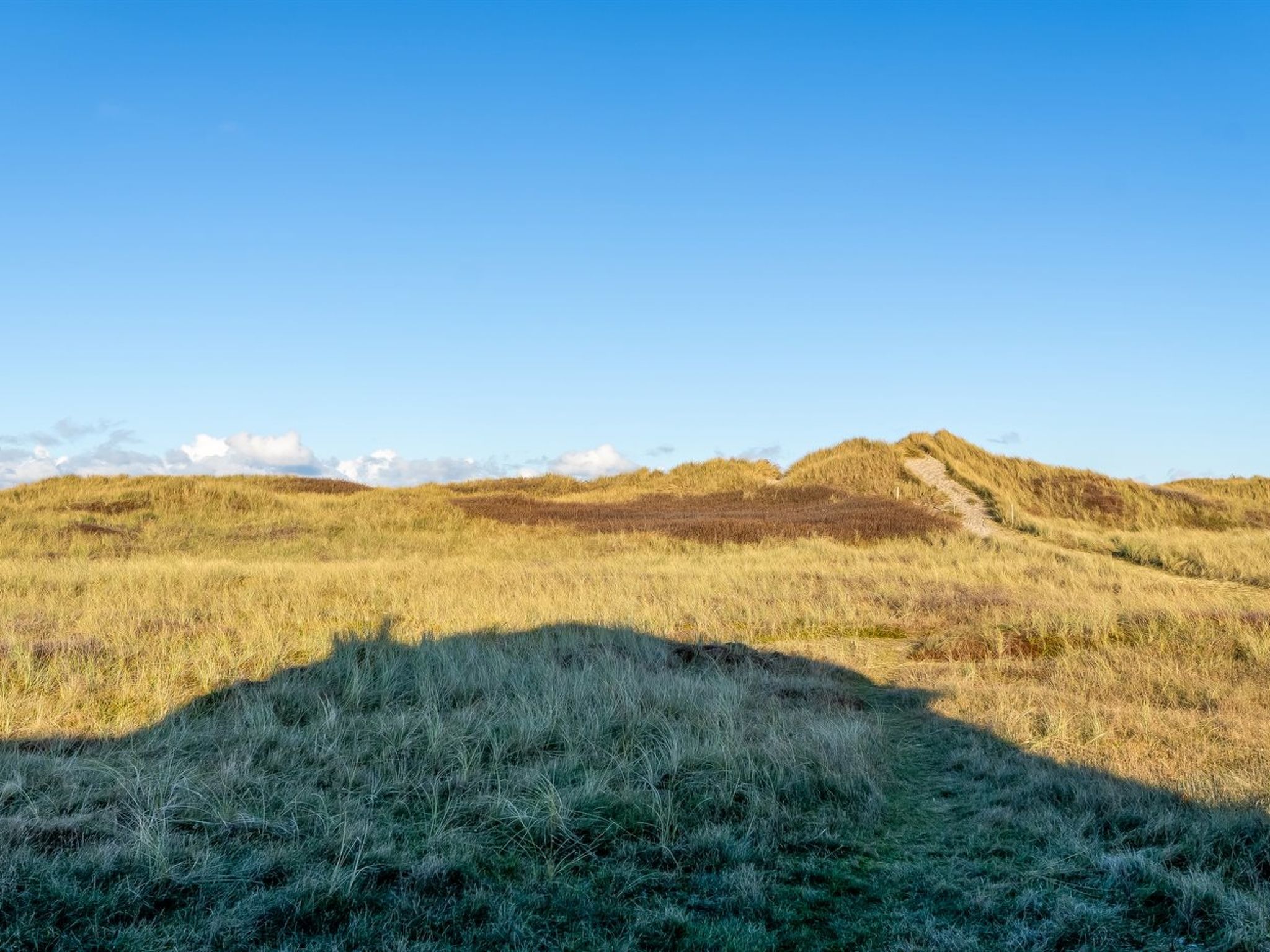 "Odeta" - 50m from the sea