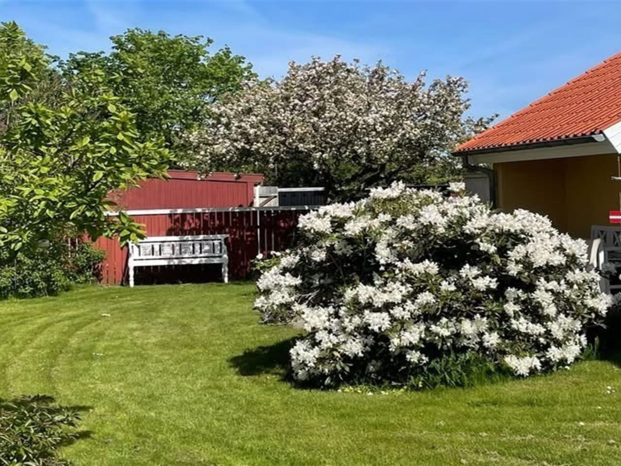 "Sunaj" - 350m from the sea - Buiten
