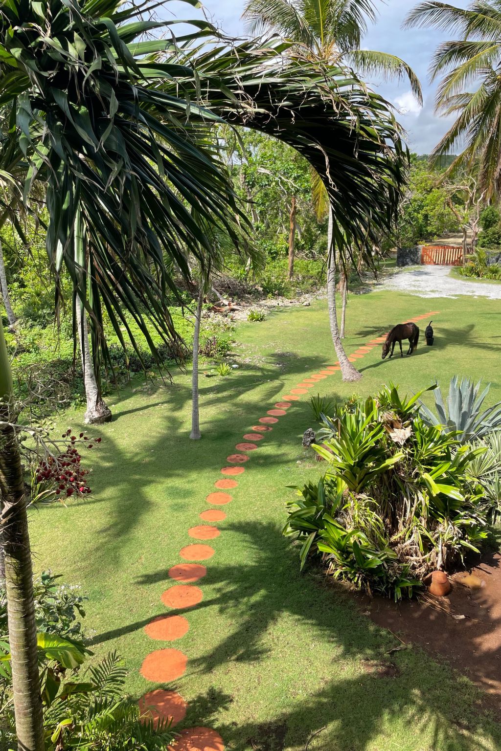 Maison in Las Galeras mit Privatem Pool – Extérieur de la maison, photo 30 sur 45
