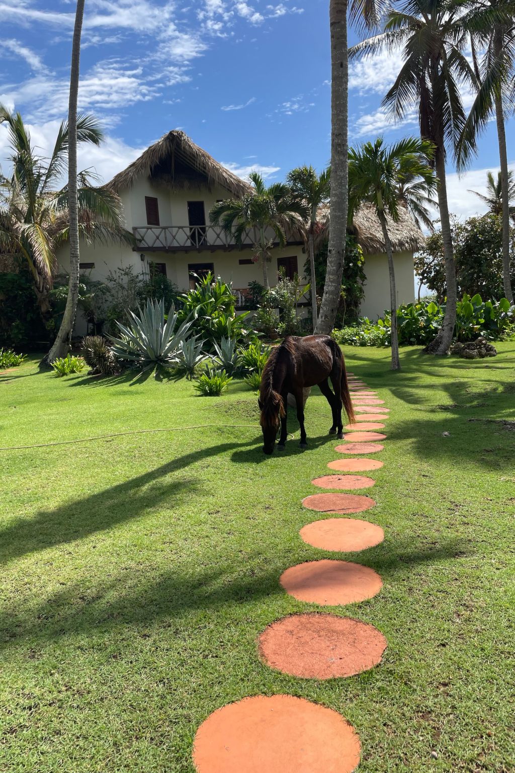 Maison in Las Galeras mit Privatem Pool – Extérieur de la maison, photo 31 sur 45