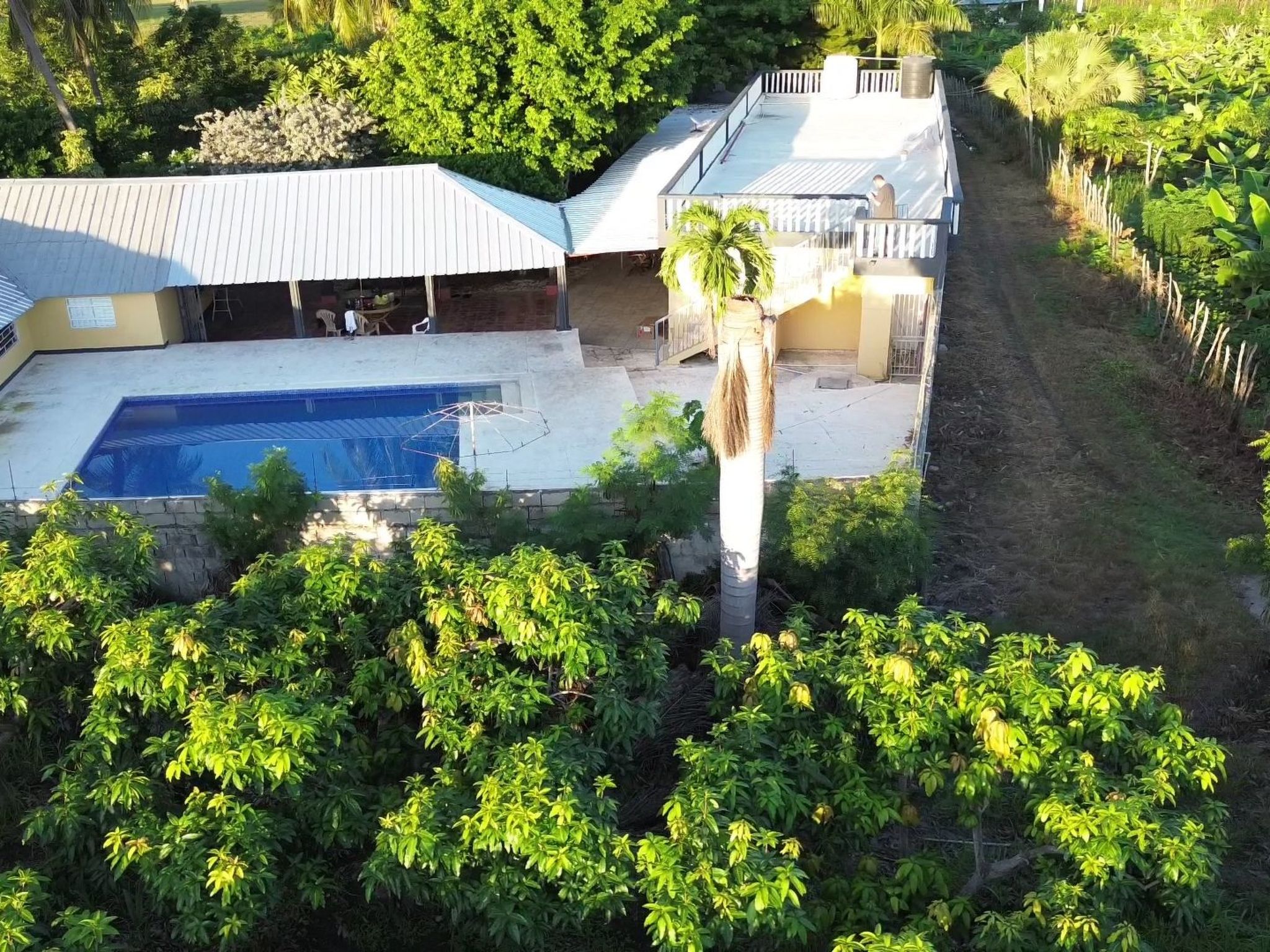 Vakantiewoning op een finca met mango- en bananenteelt. Zeer rustig gelegen. Gewoon een paradijs. Zwembad aanwezig. Zonneterras en schaduwrijk terras. Keuken en badkamer uitgerust met warm water. De f..