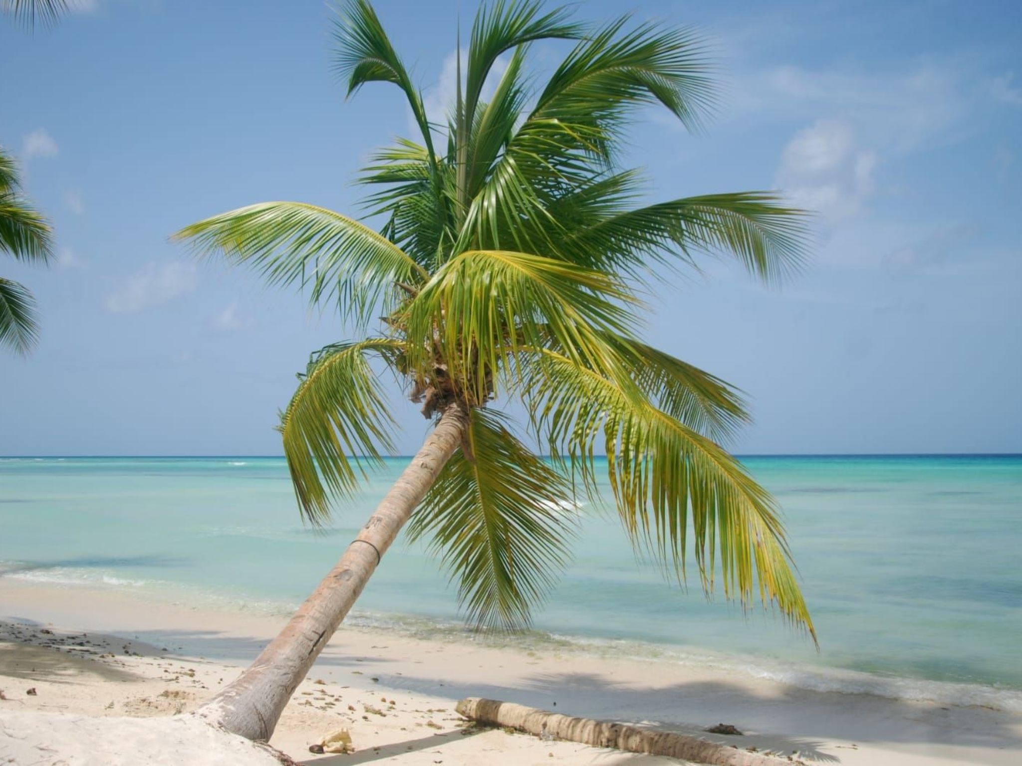 Wohnung in Dominicus mit Grill, Garten und Terrasse