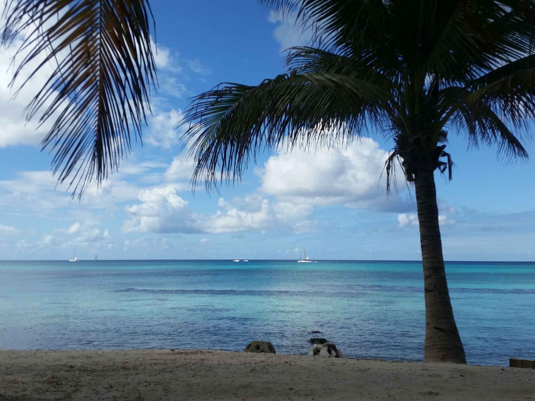 Appartement für 4 Personen ca. 95 m&sup2- in Dominicus, La Altagracia – Plage, photo 37 sur 44