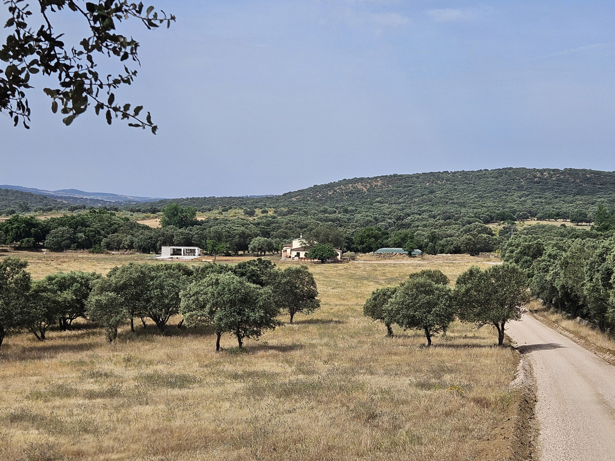 FINCA EL ALAMO - BARCARROTA - Buiten