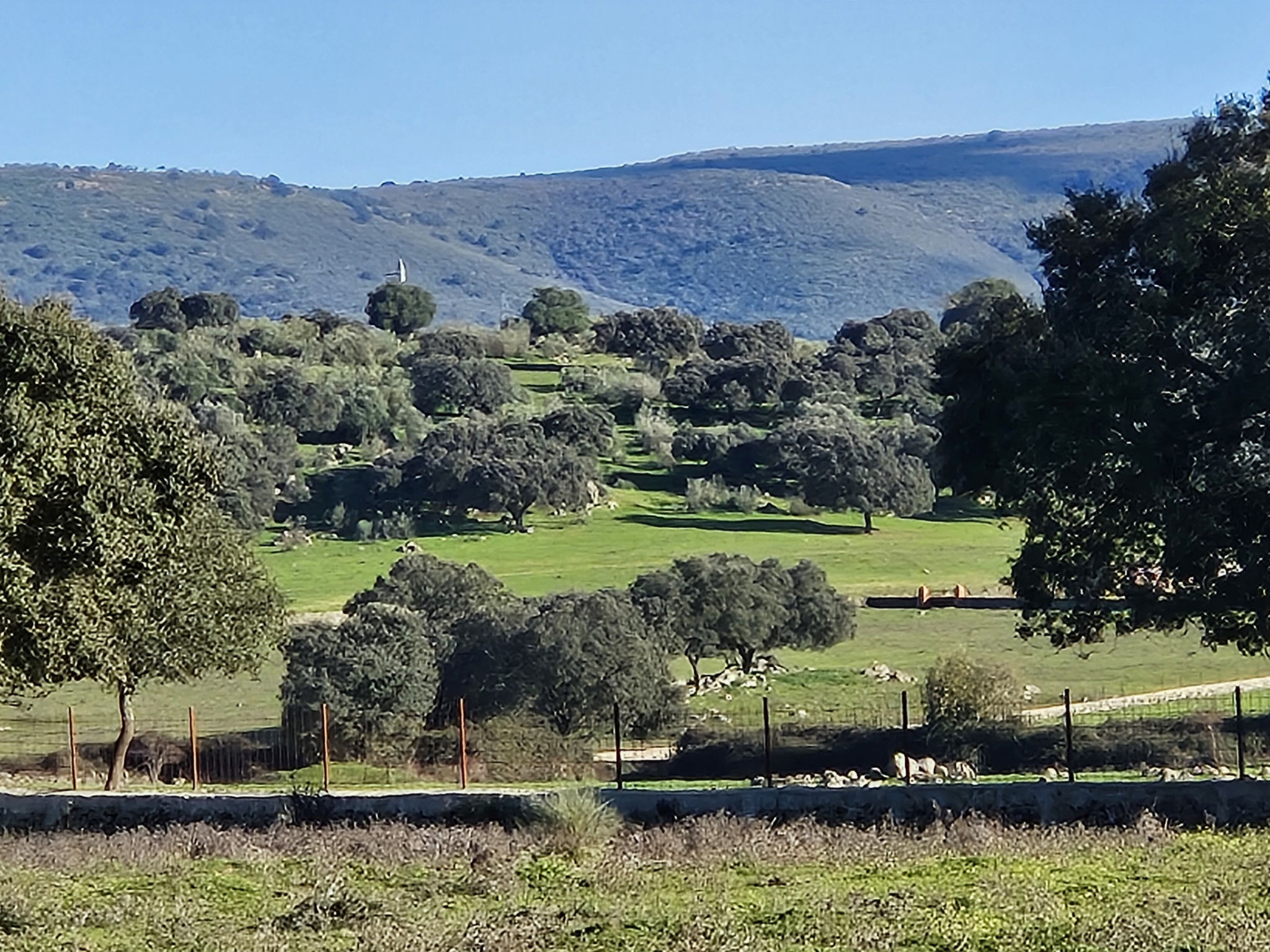 FINCA EL ALAMO - BARCARROTA - Buiten