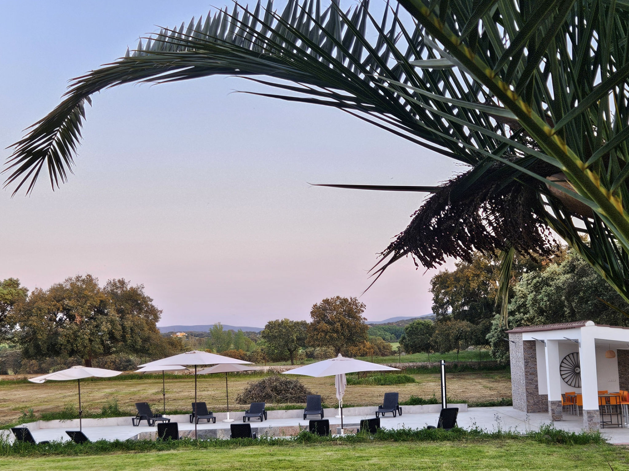 Maison FINCA EL ALAMO - BARCARROTA – Terrasse, photo 6 sur 50