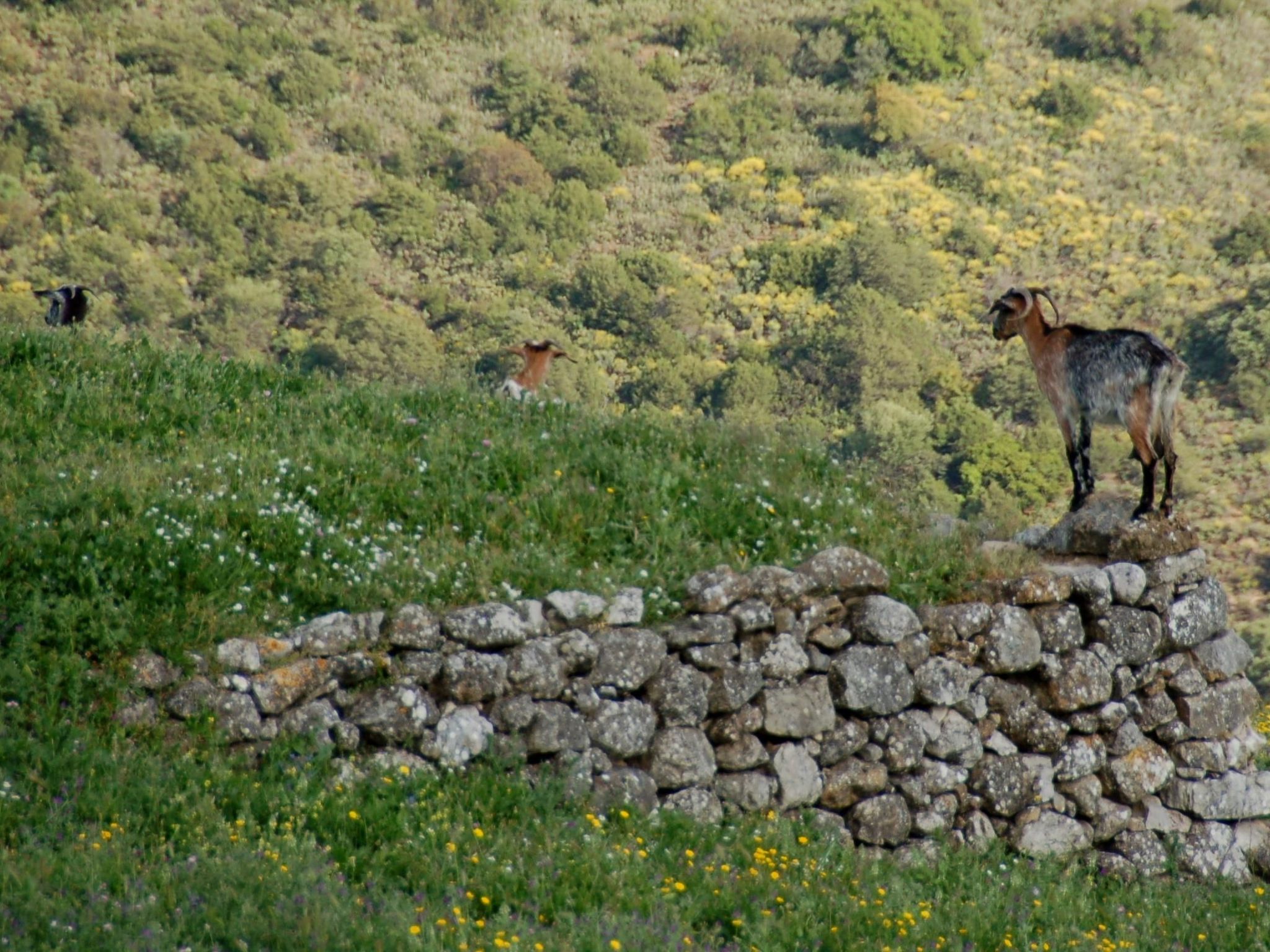 Villa 'Lagarin' mit Terrasse-Dehors