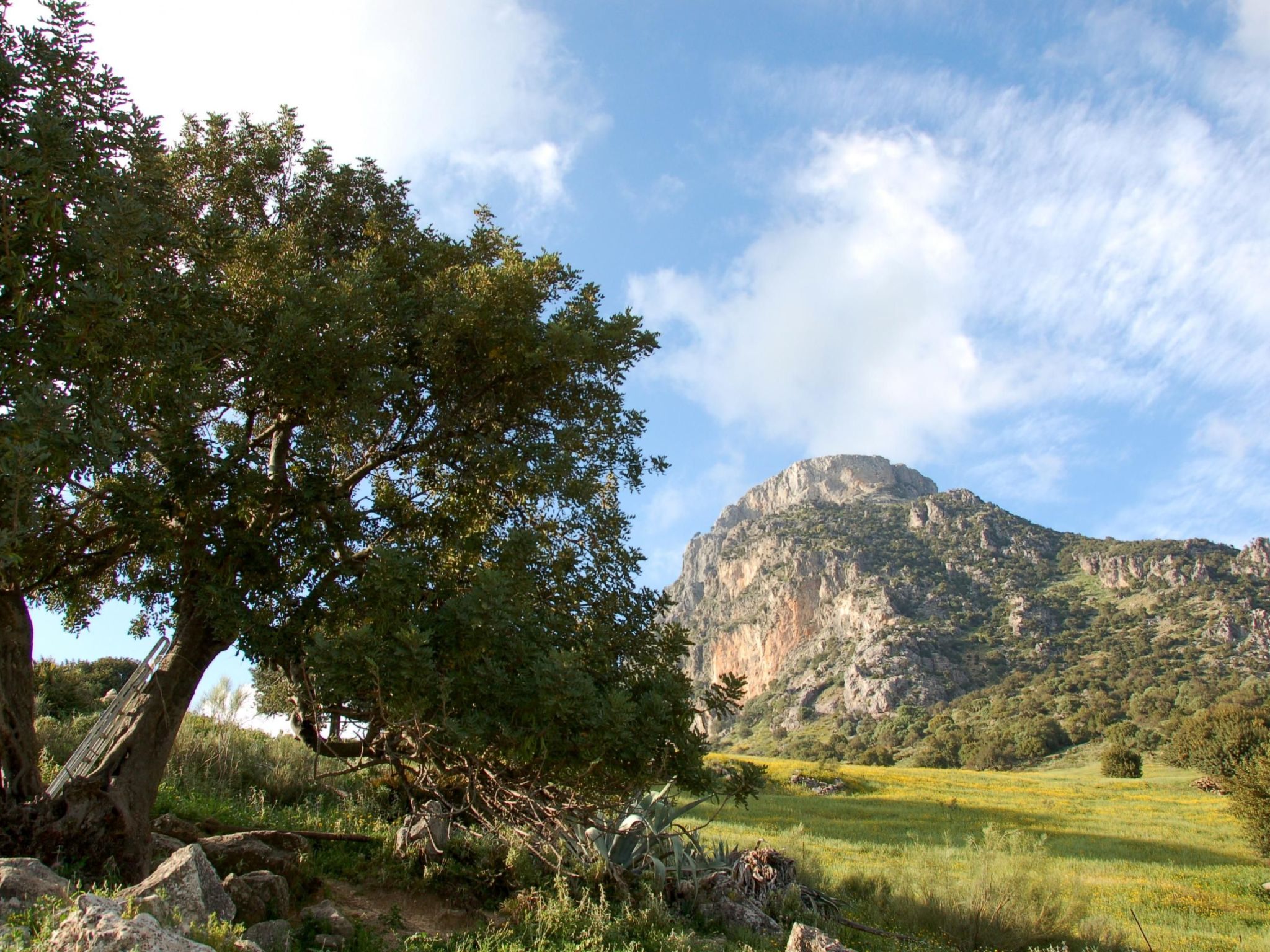 Villa 'Lagarin' mit Terrasse-Dehors