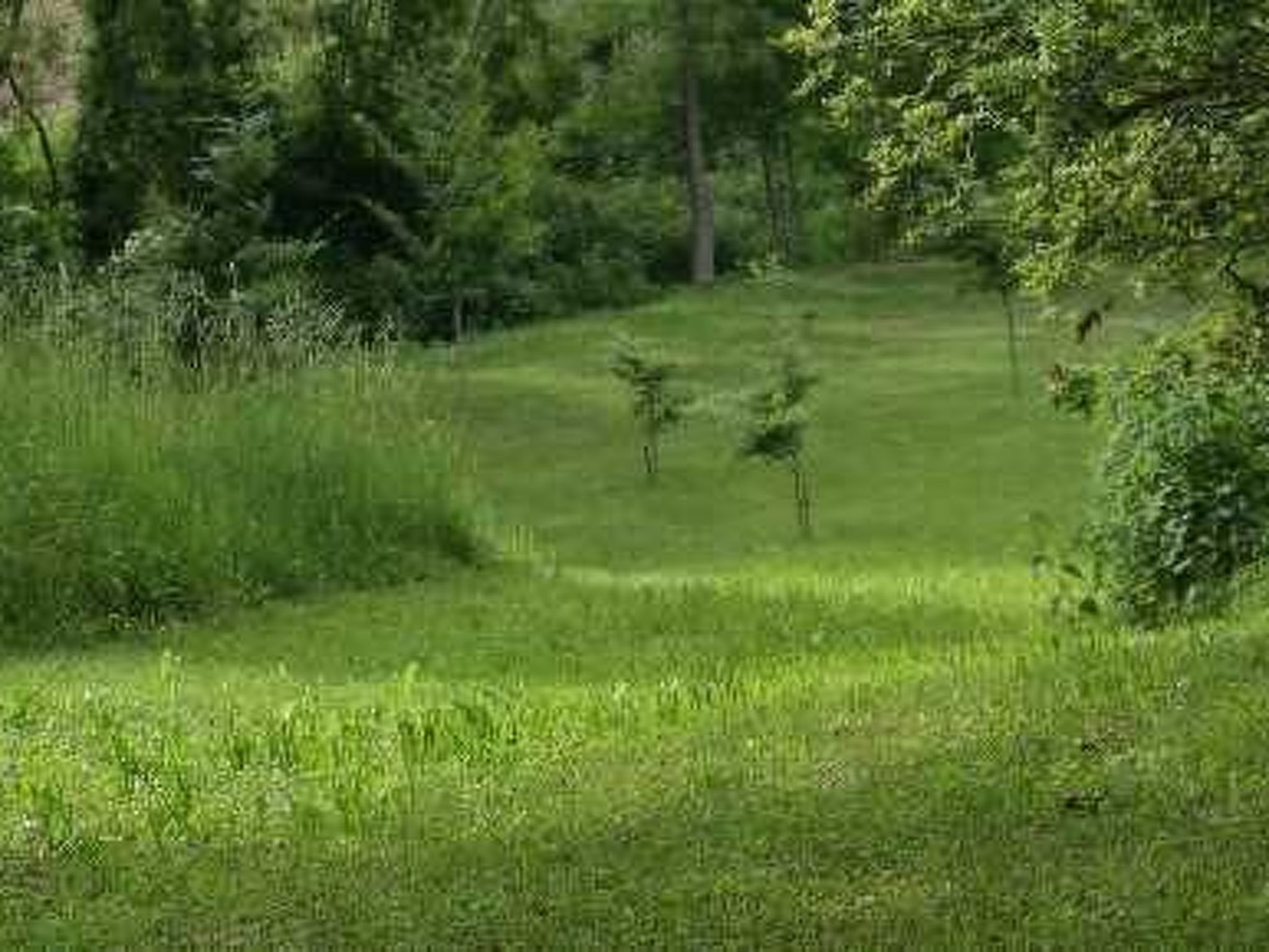 Kleiner Bungalow mit zwei Schlafzimmern.