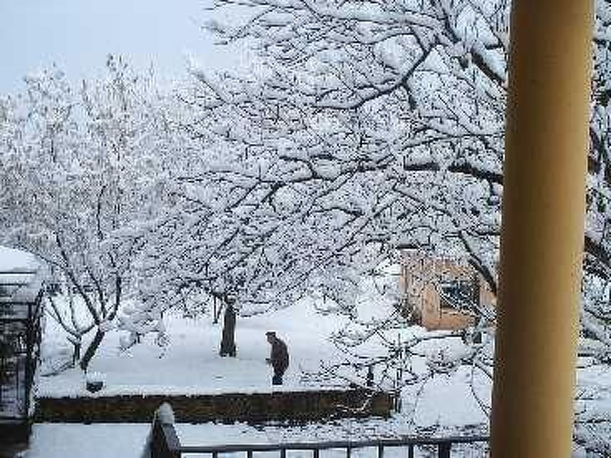 Kleiner Bungalow mit zwei Schlafzimmern.-Outside