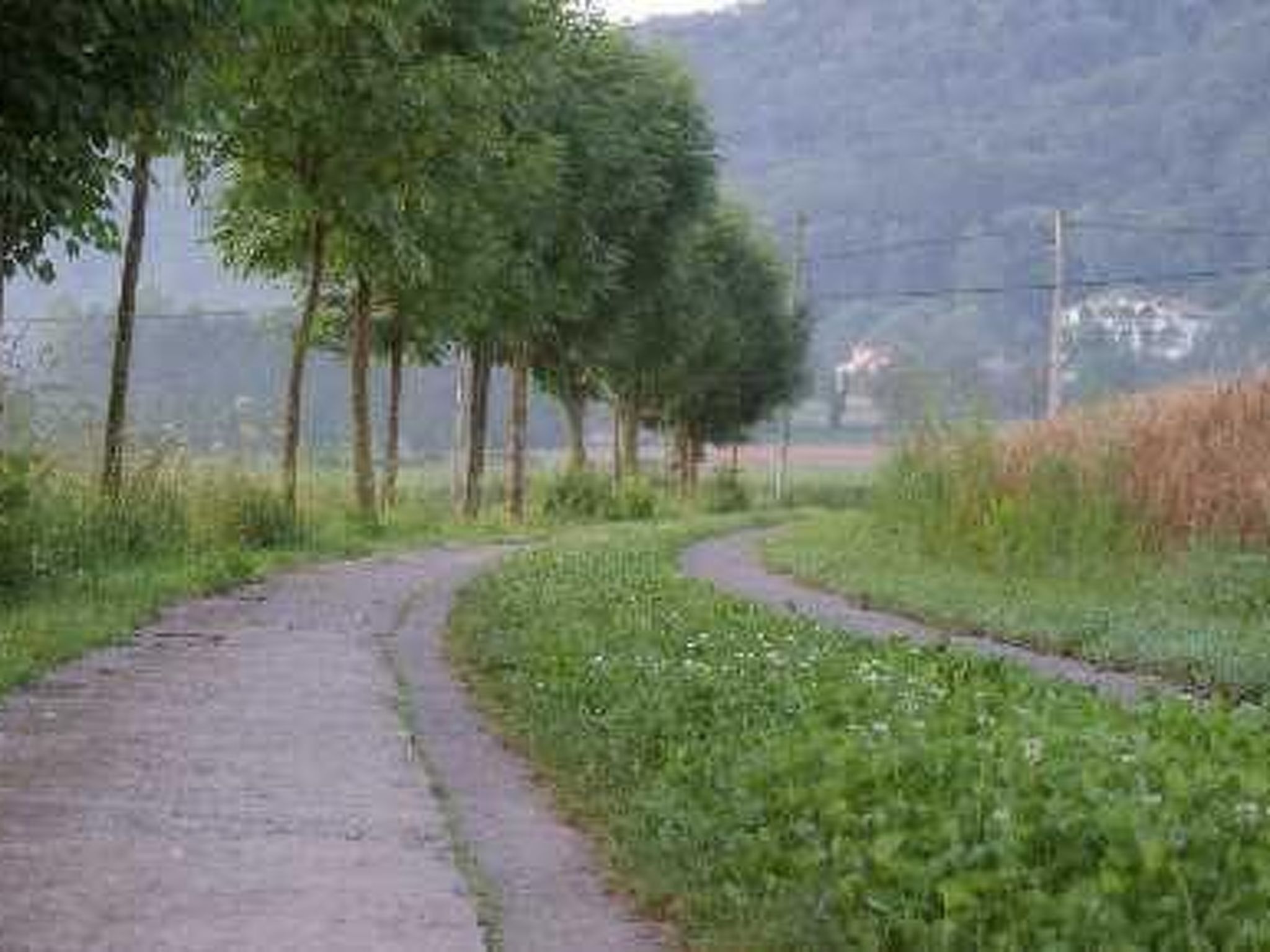 Wohnung El Graner mit großer Fensterfront