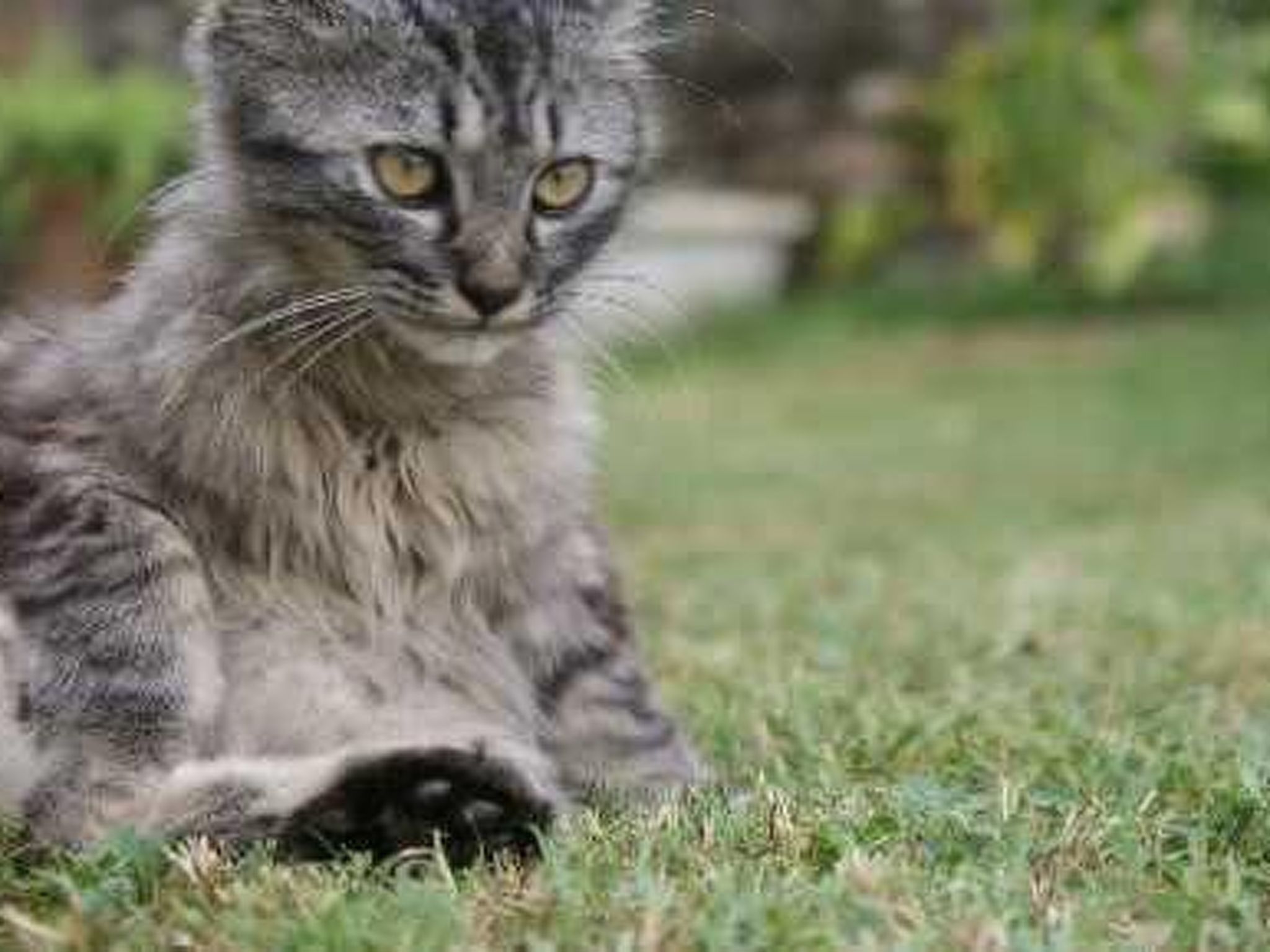 Wohnung El Graner mit großer Fensterfront-Image-tags.info