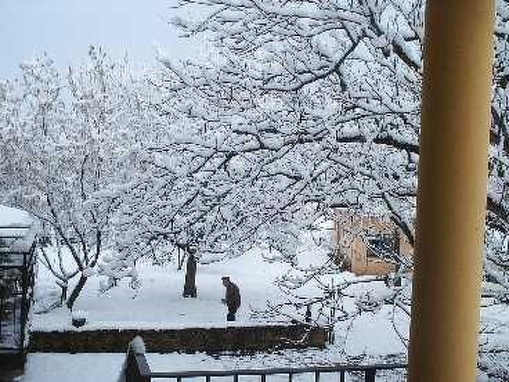 Wohnung El Graner mit großer Fensterfront-Image-tags.info