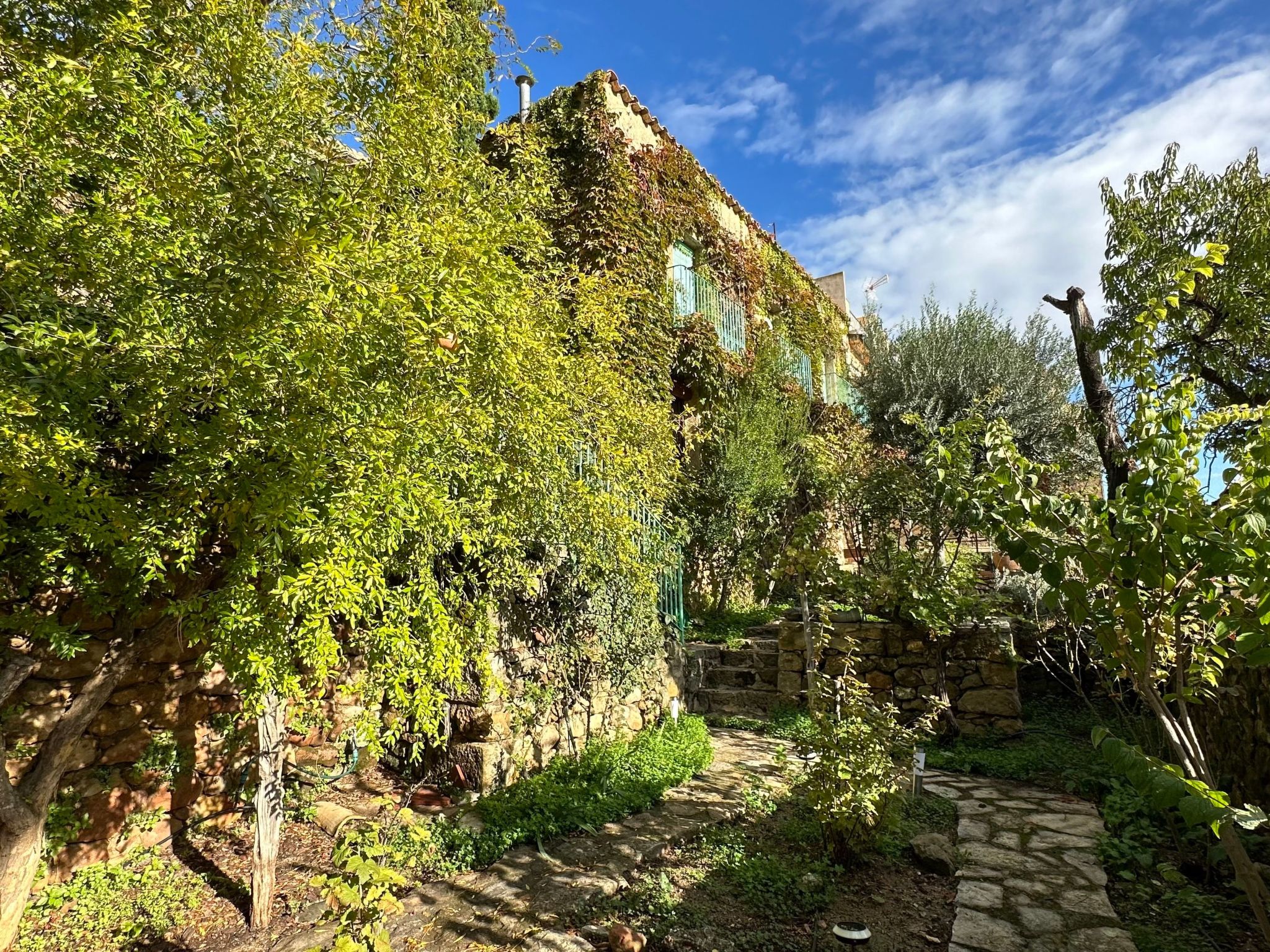 Antiguo Molino - Buiten