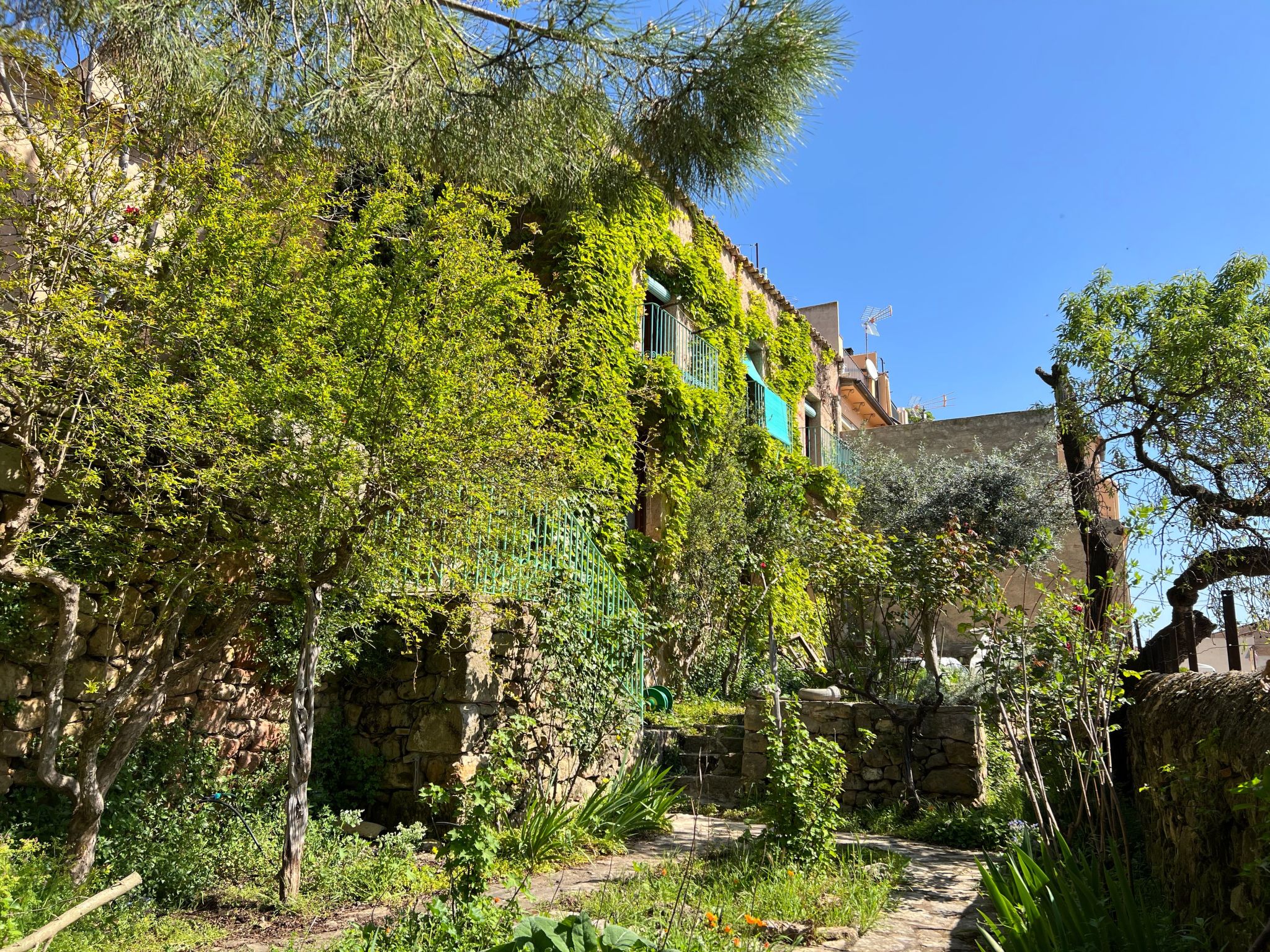 Antiguo Molino - Buiten