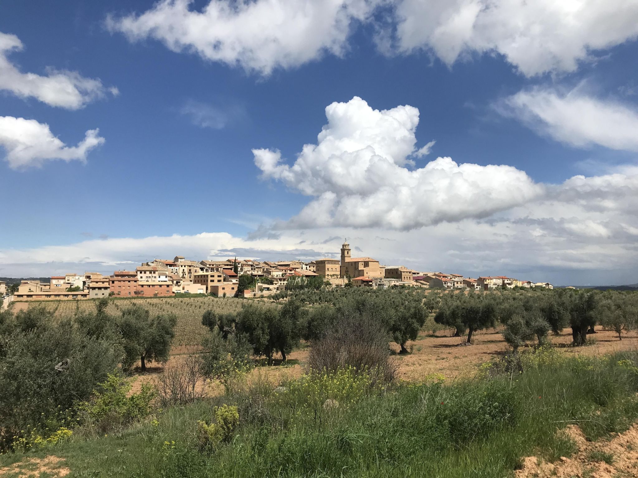 Antiguo Molino - Buiten