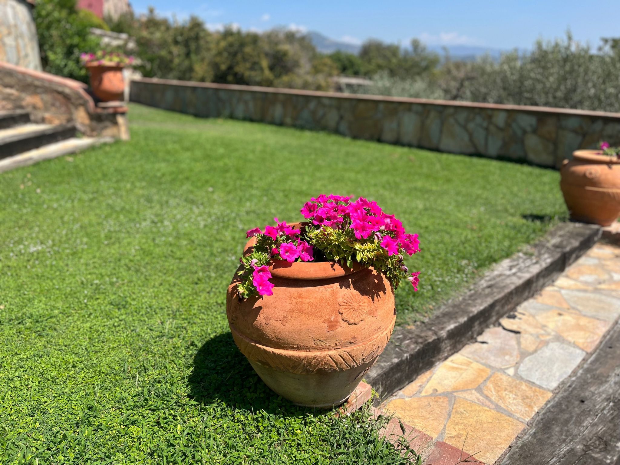 Superior-Doppelsuite mit Schlafsofa-Image-tags.info