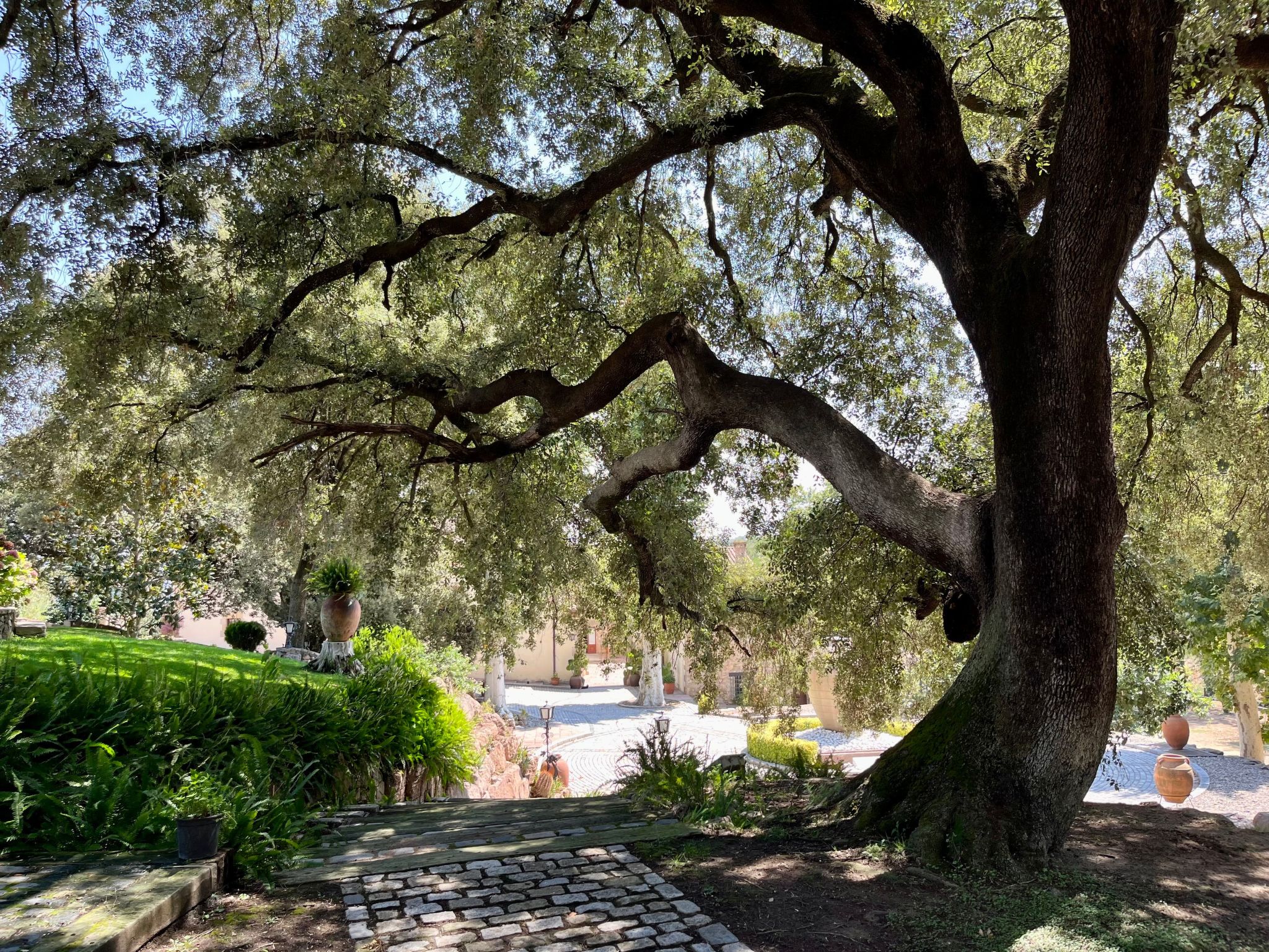 Superior-Doppelsuite mit Schlafsofa-Image-tags.info