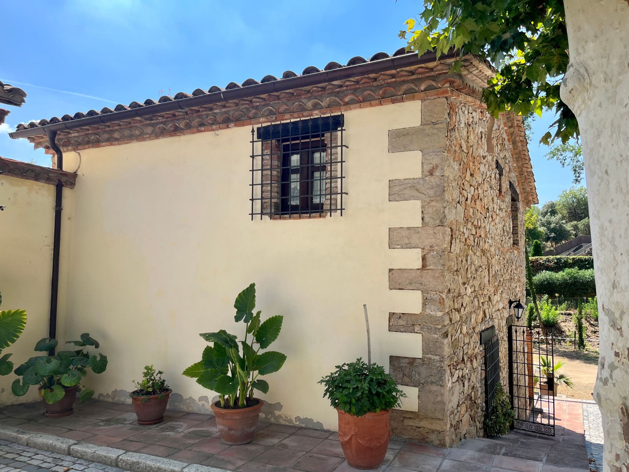 Superior-Doppelsuite mit Schlafsofa-Image-tags.info