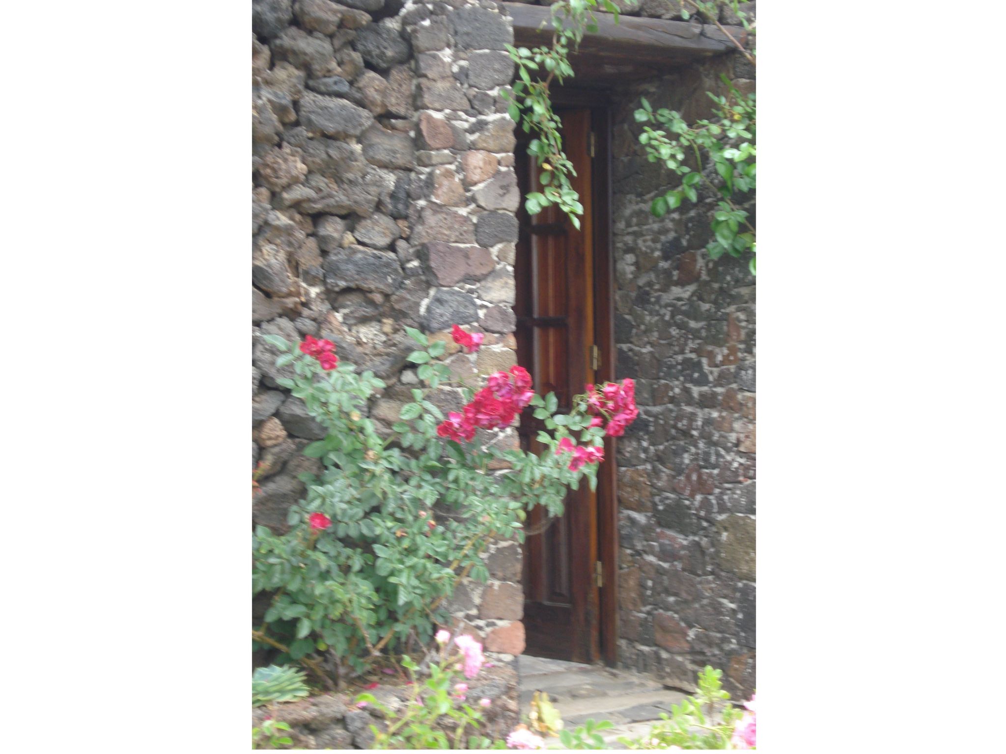 Traditionelles kanarisches Landhaus-Outside