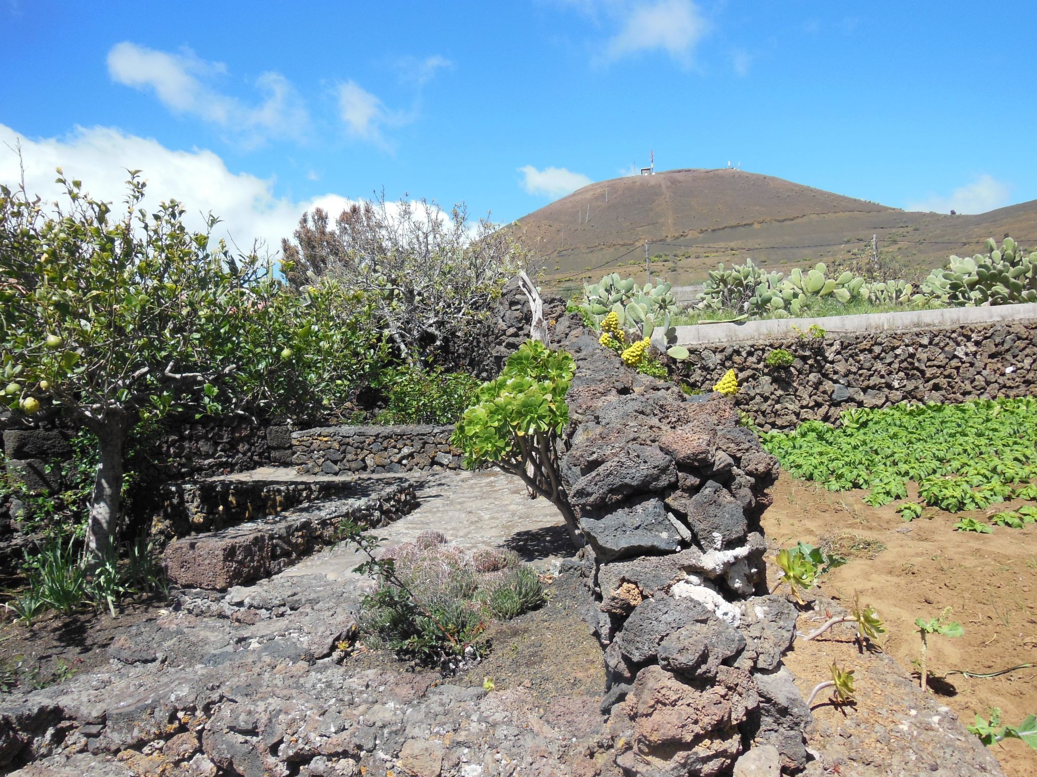Traditionelles kanarisches Landhaus-Outside